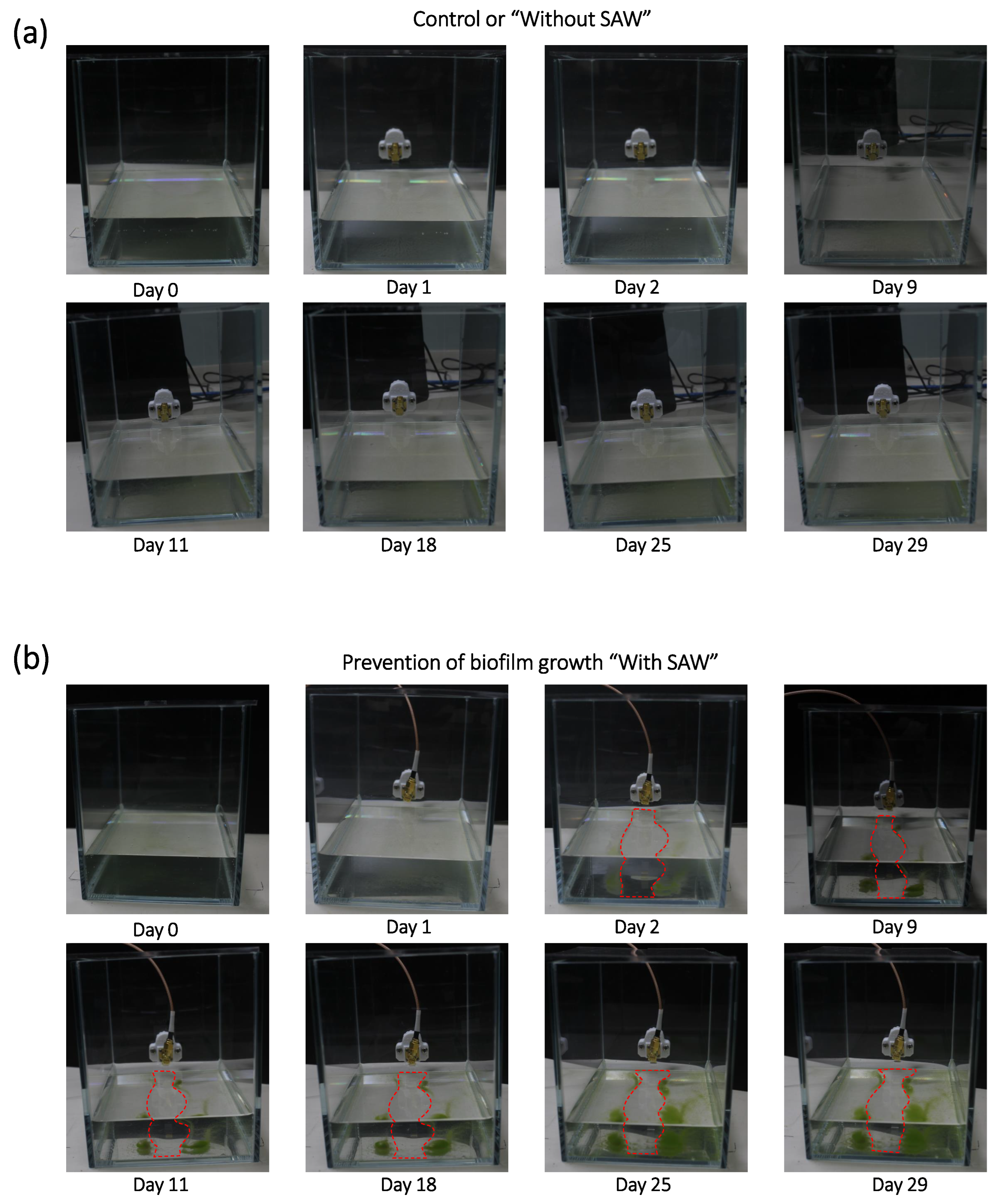 Preprints 205520 g004