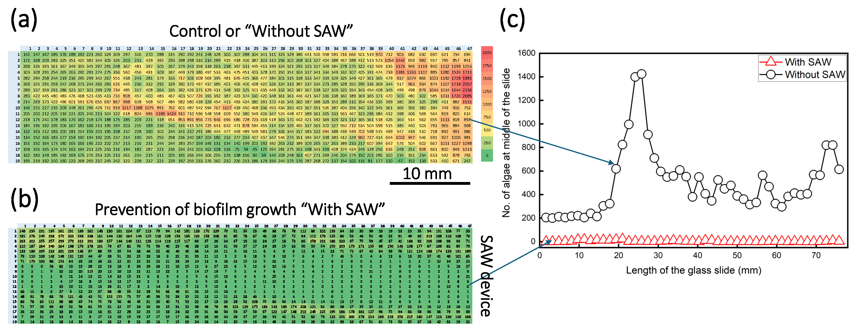 Preprints 205520 g006