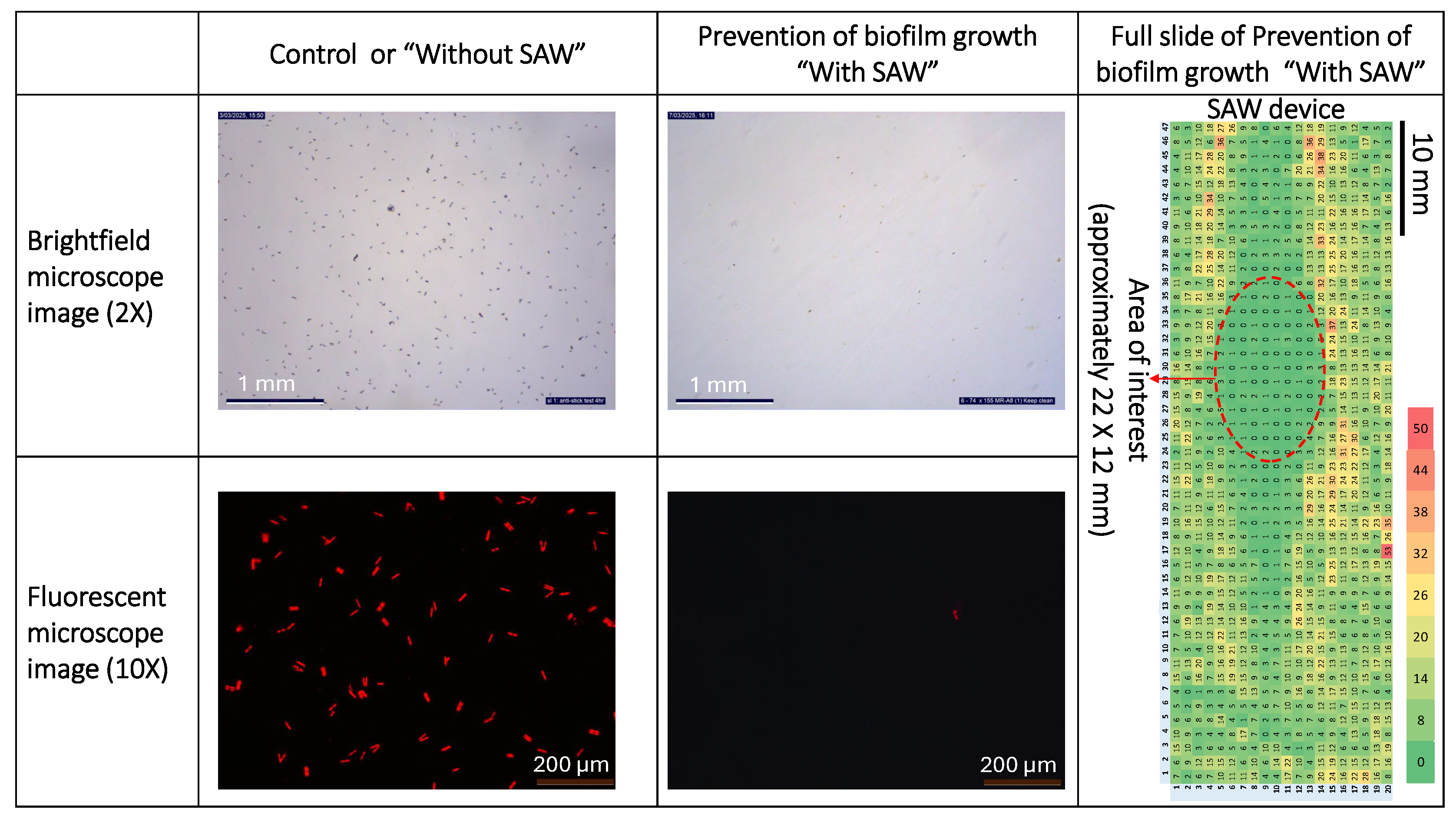 Preprints 205520 g007