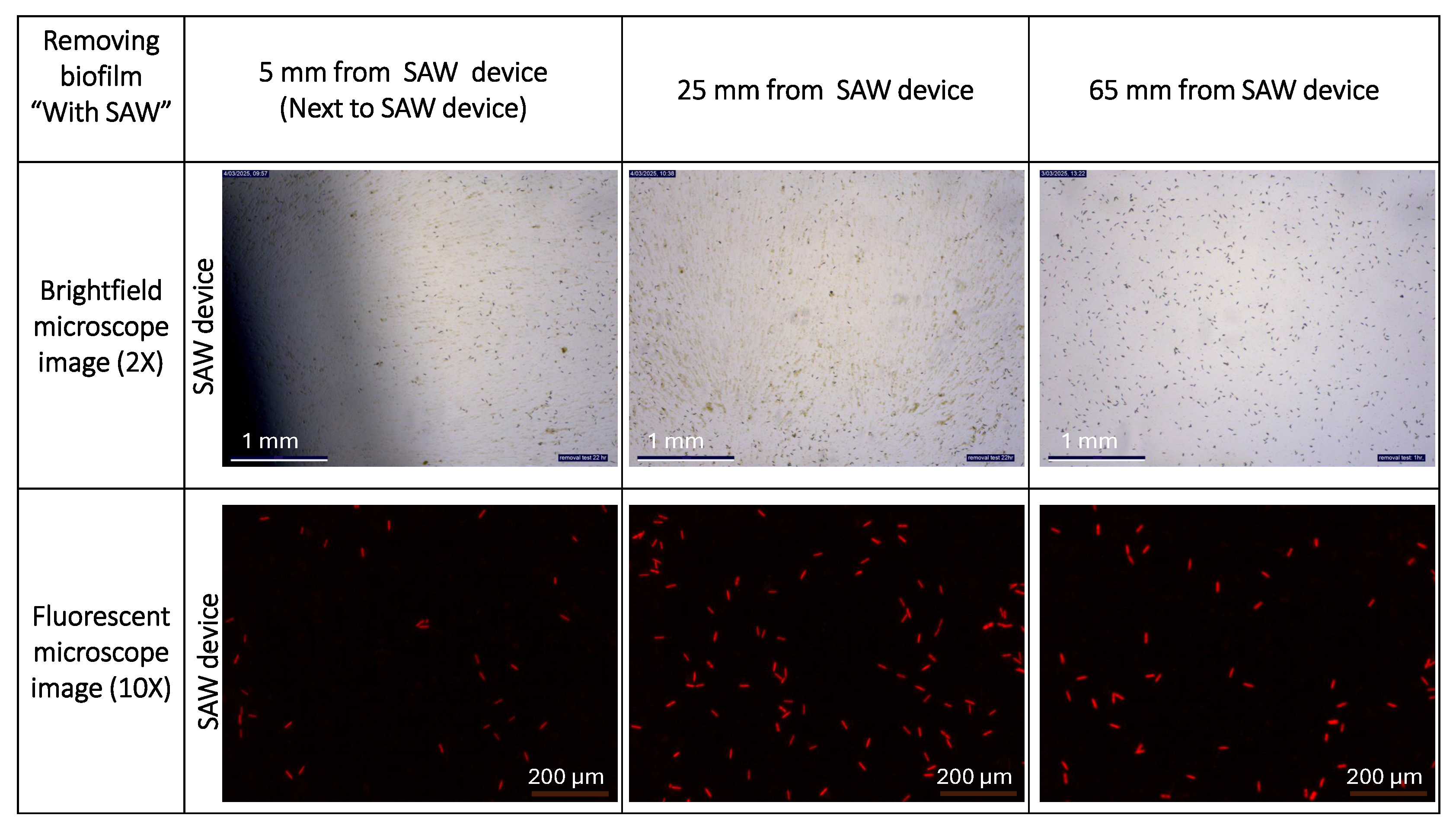 Preprints 205520 g009