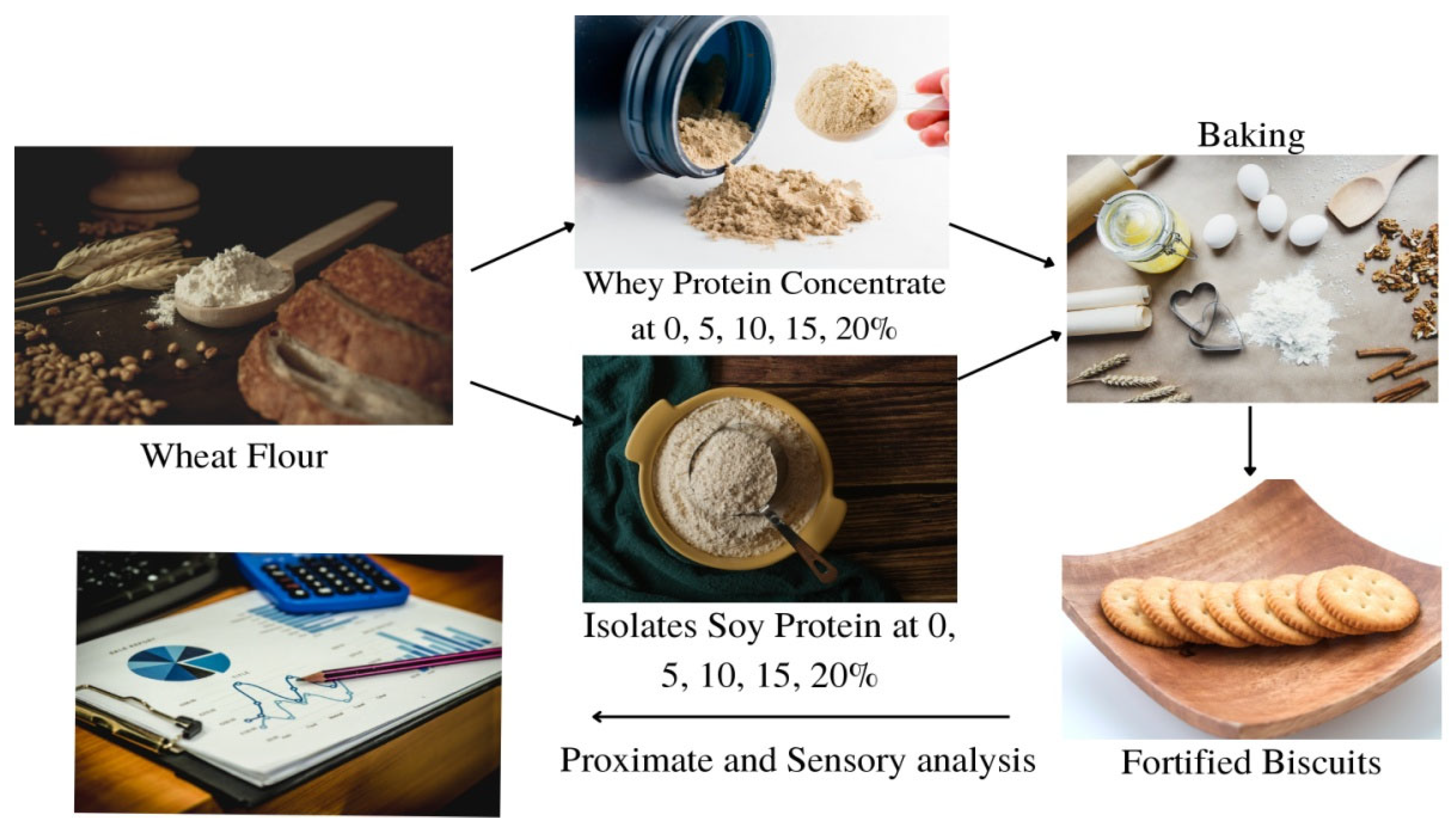 Preprints 74110 i001