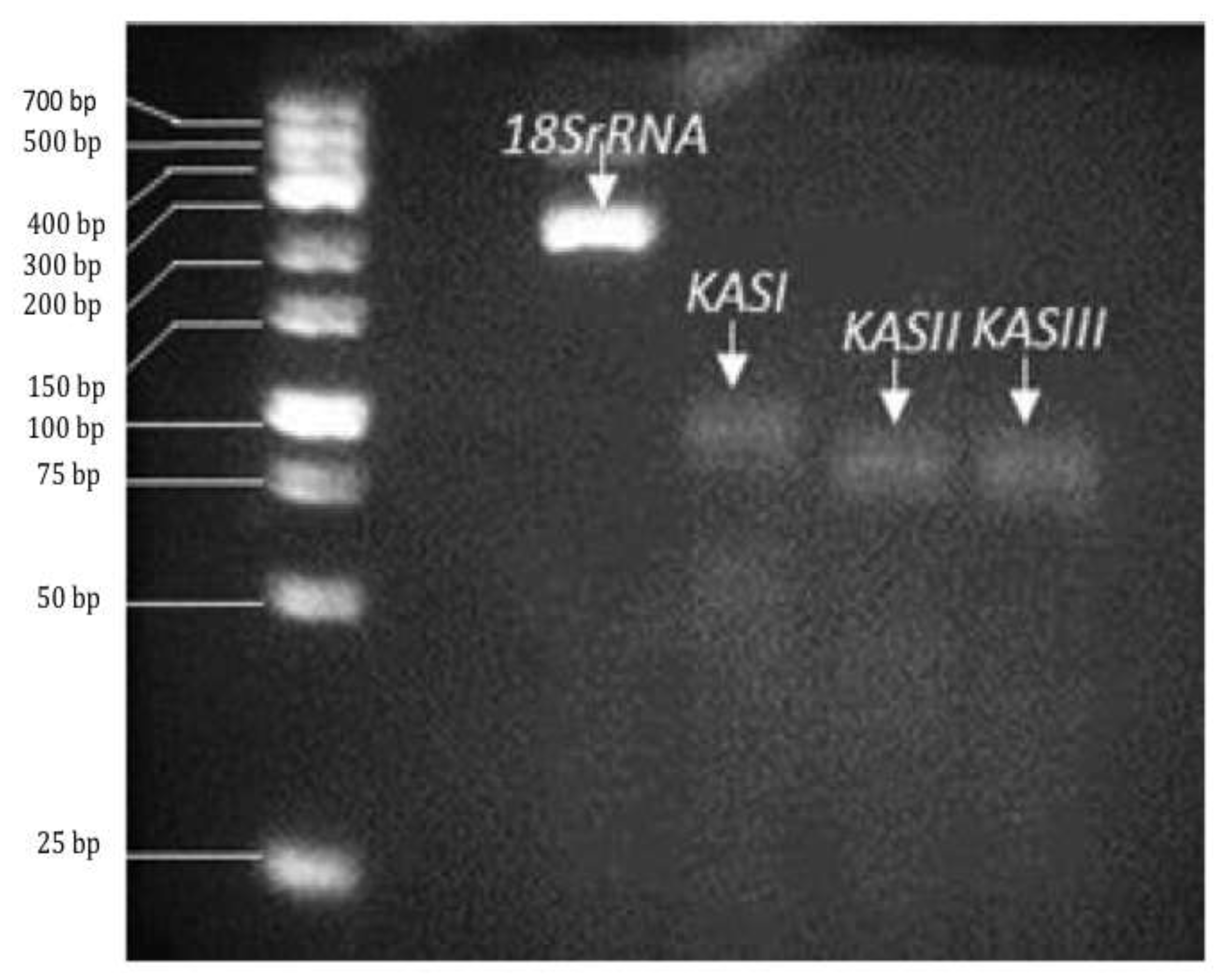 Preprints 202773 g001