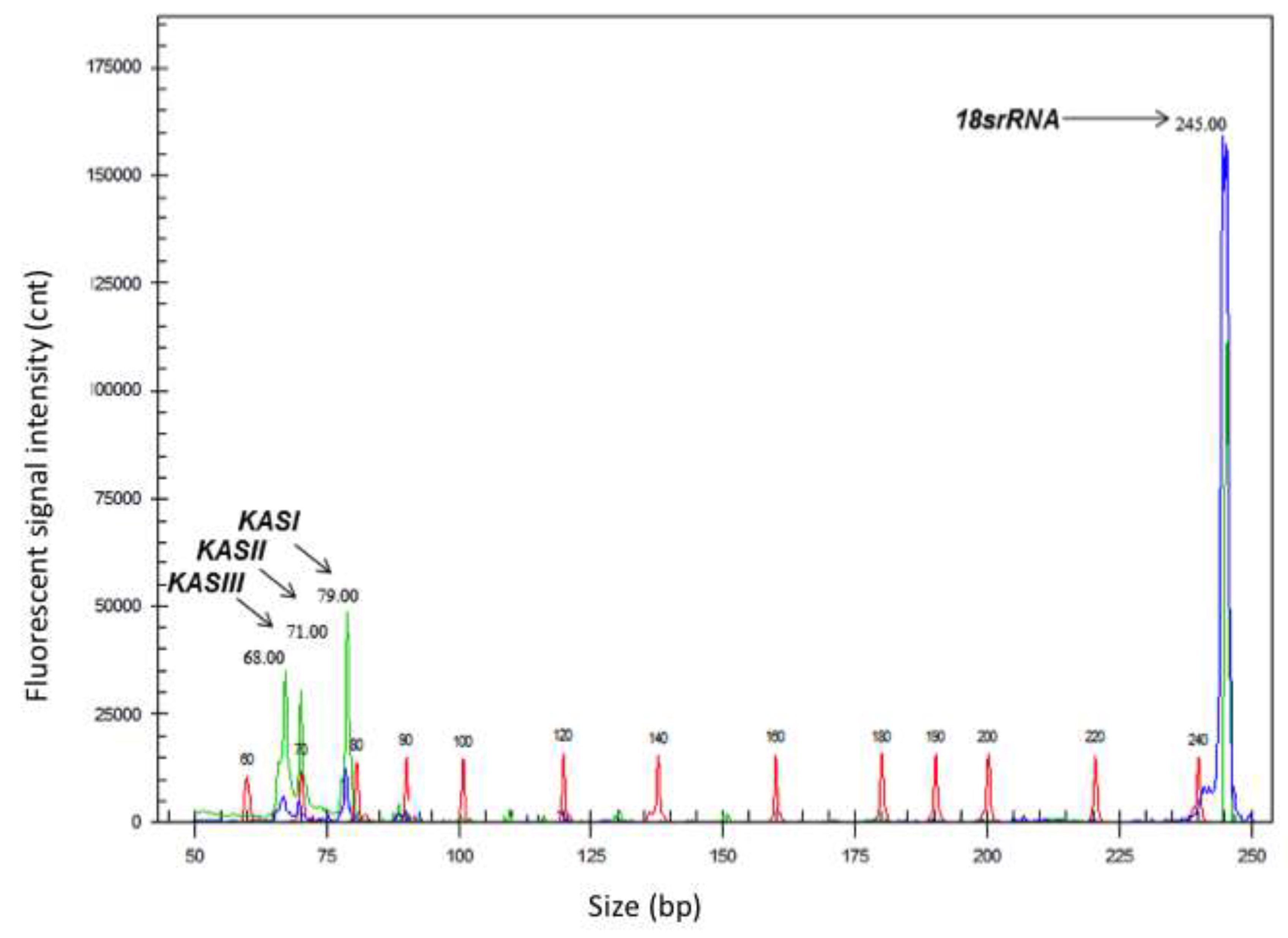 Preprints 202773 g002