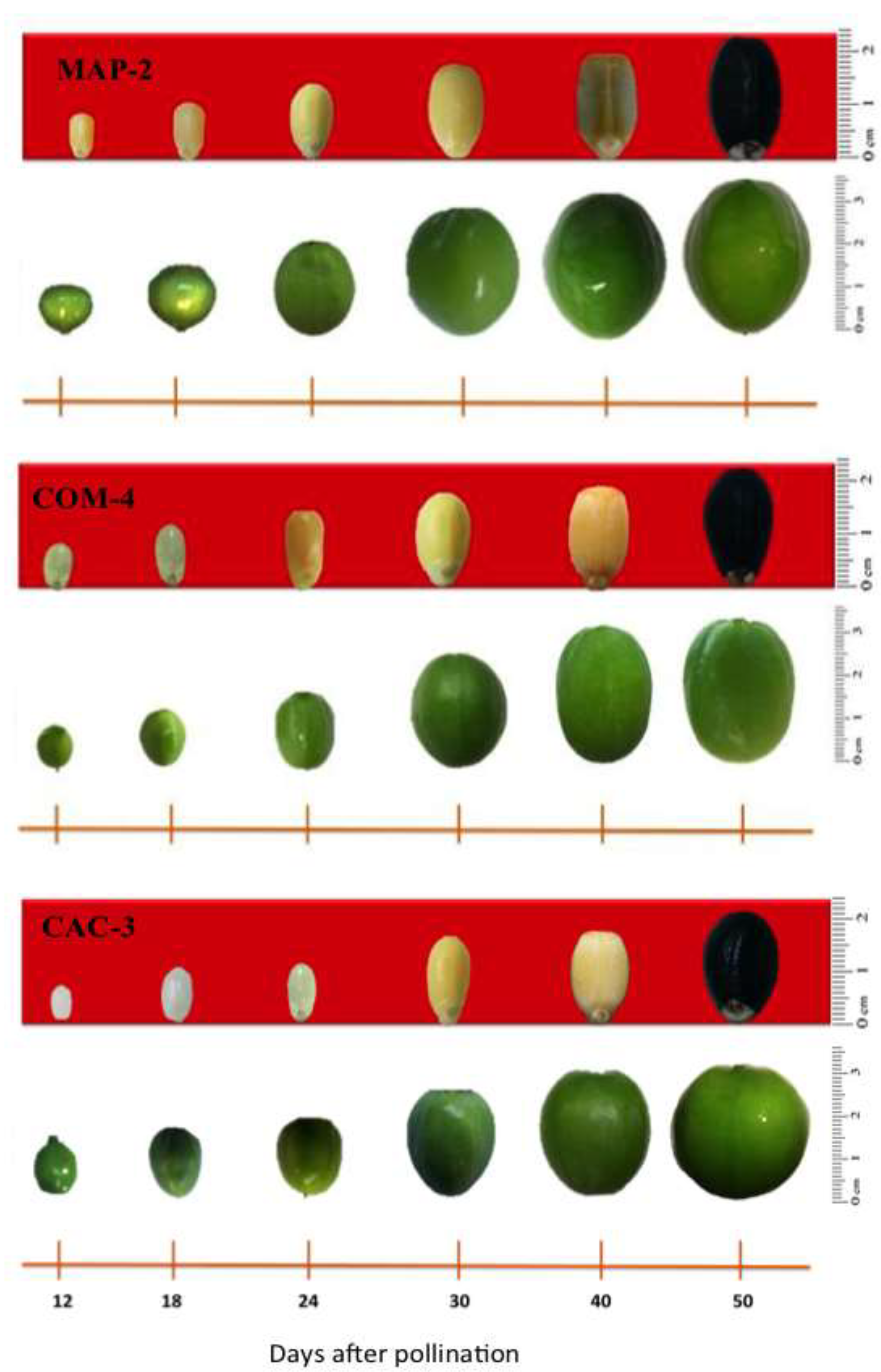 Preprints 202773 g003