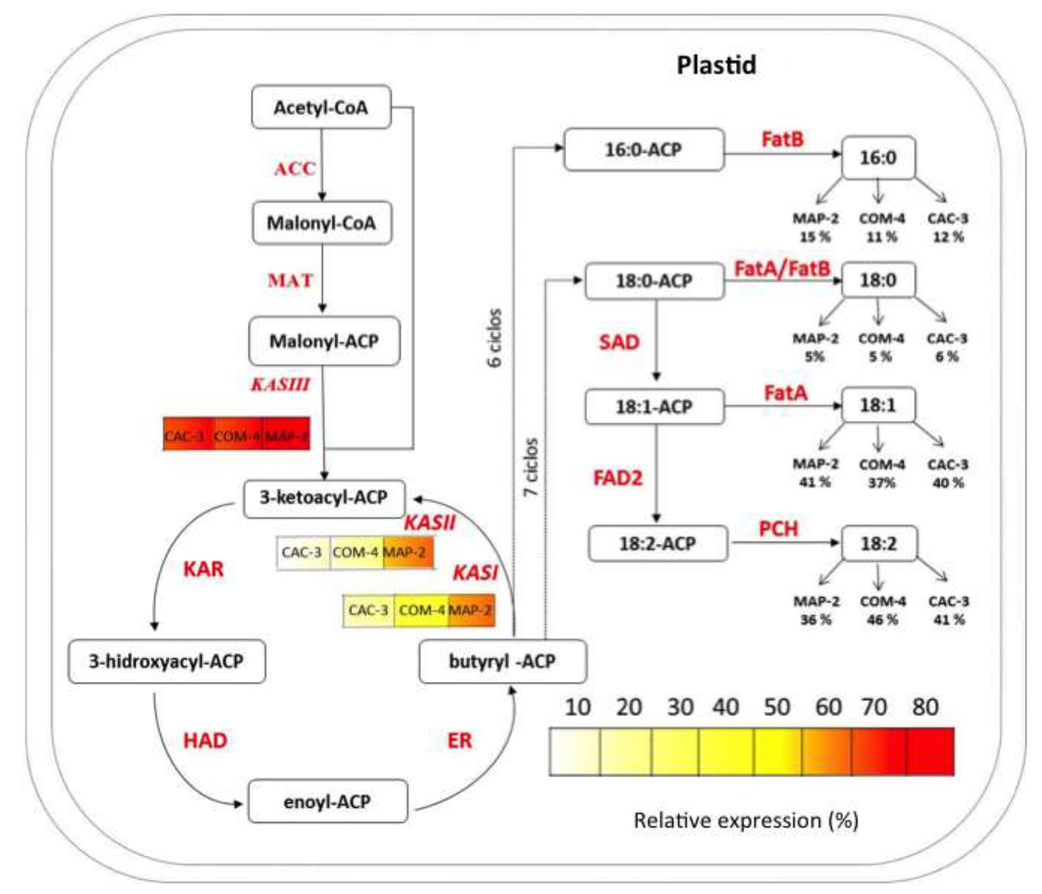 Preprints 202773 g006