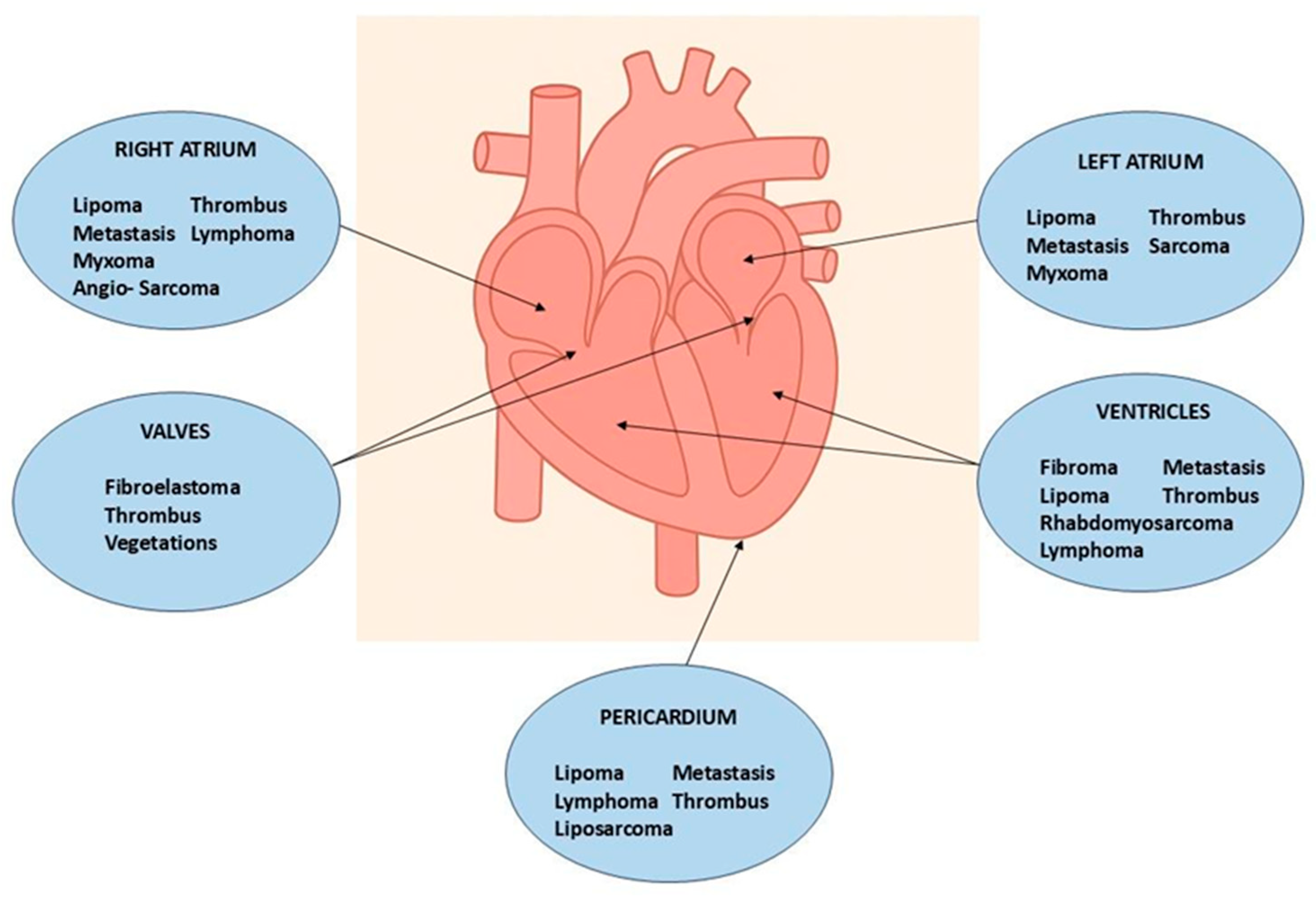 Preprints 175995 g002