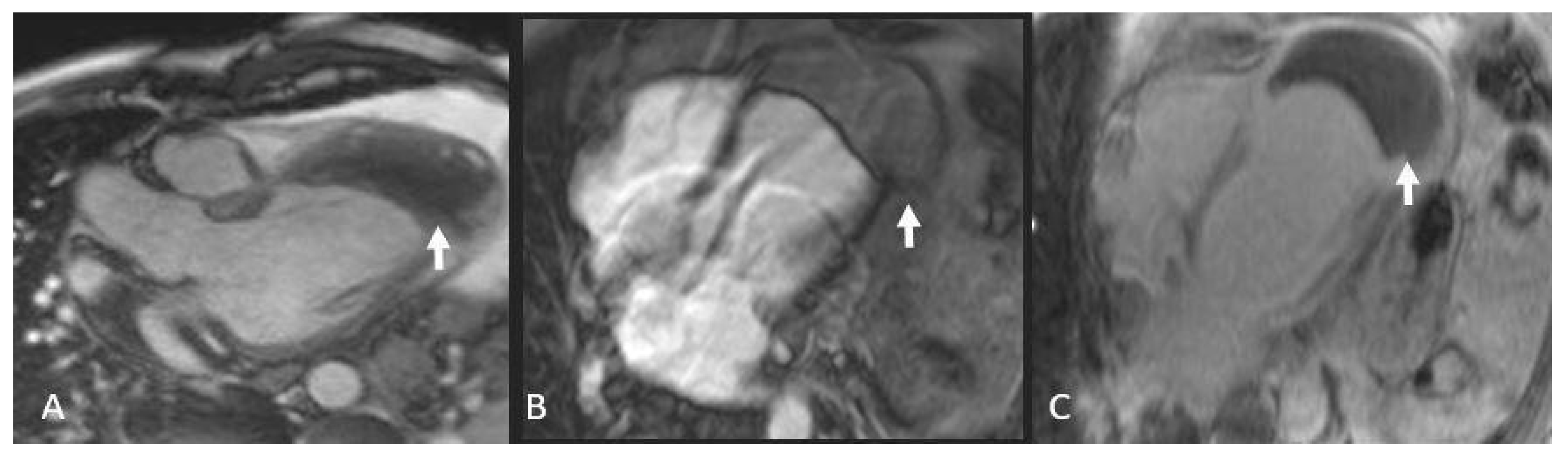 Preprints 175995 g003