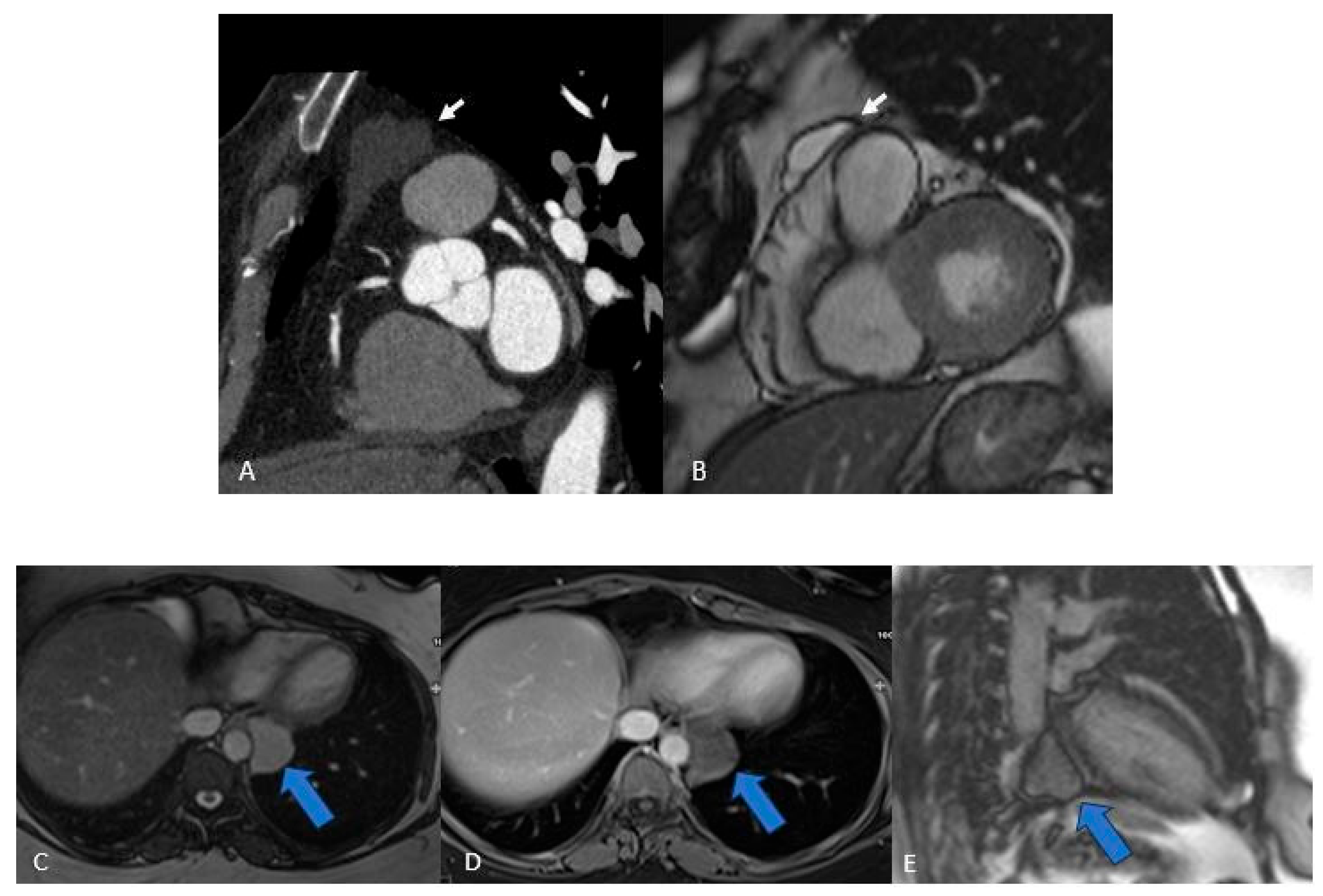 Preprints 175995 g004