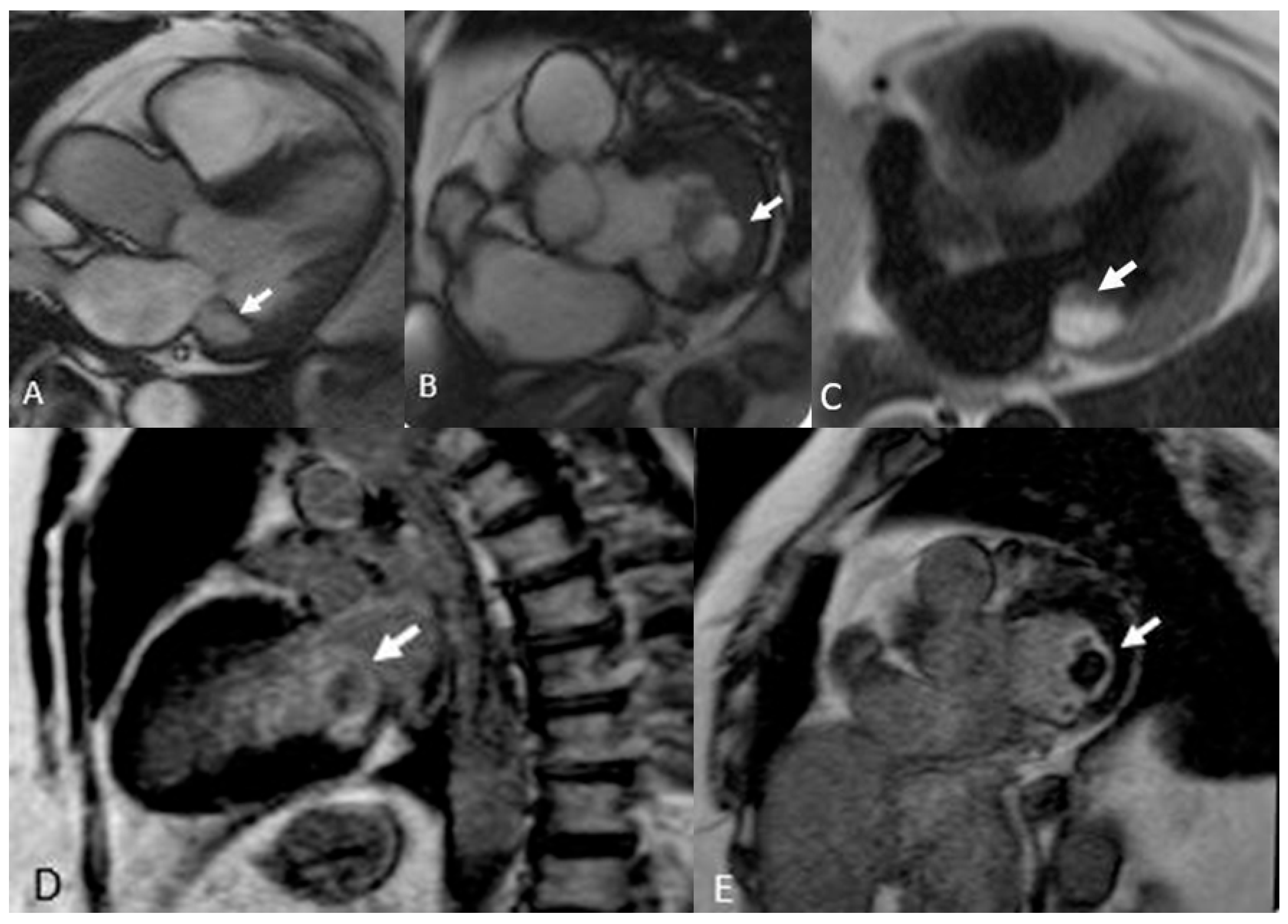 Preprints 175995 g005