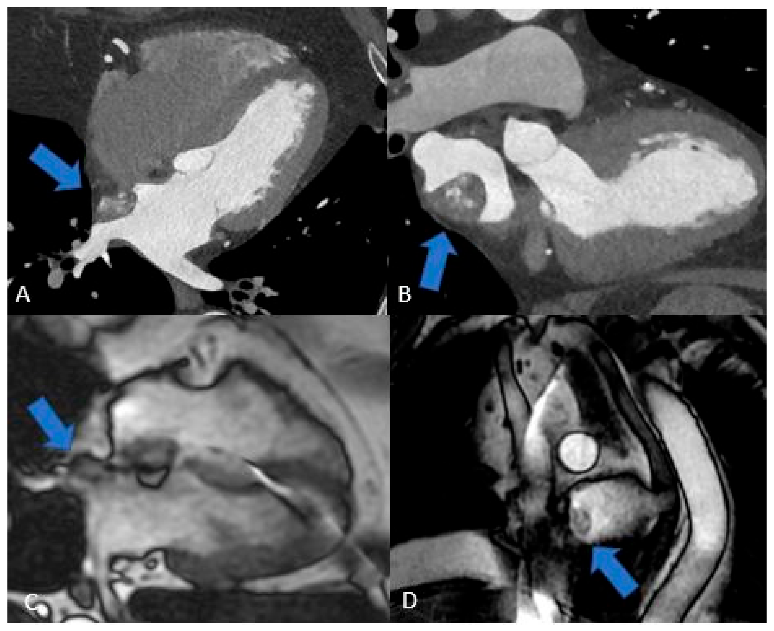 Preprints 175995 g007
