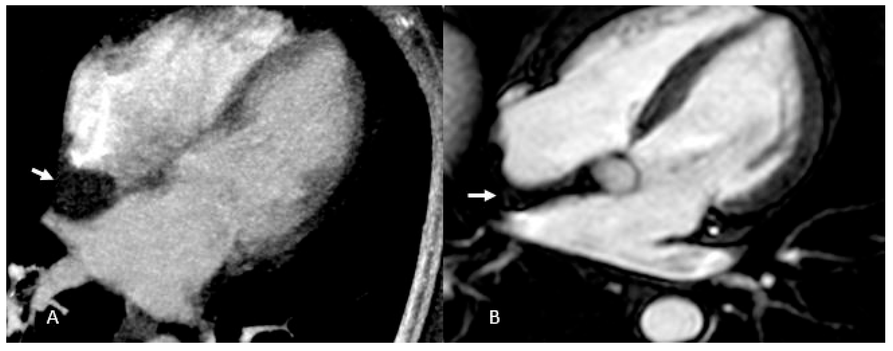 Preprints 175995 g008