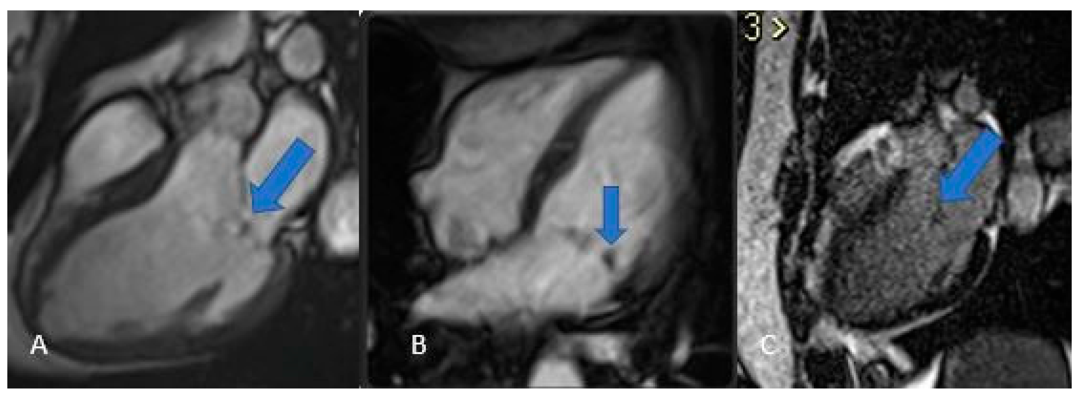 Preprints 175995 g009