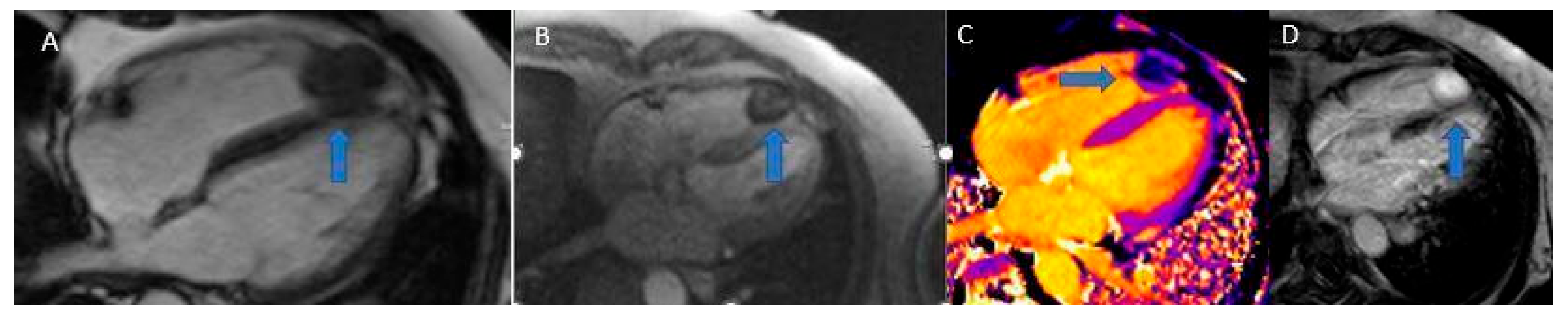 Preprints 175995 g010