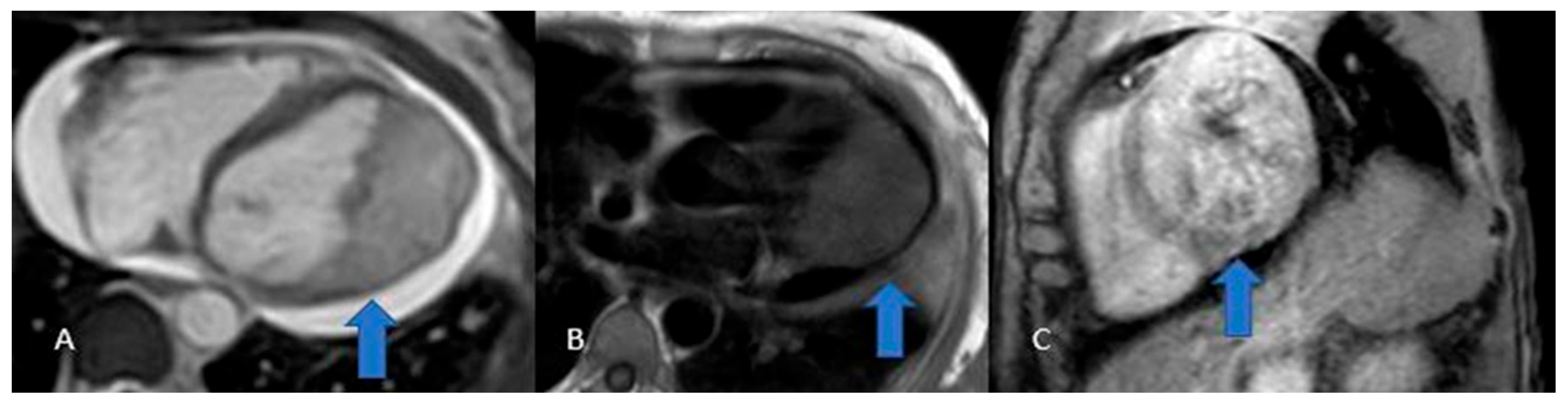 Preprints 175995 g012