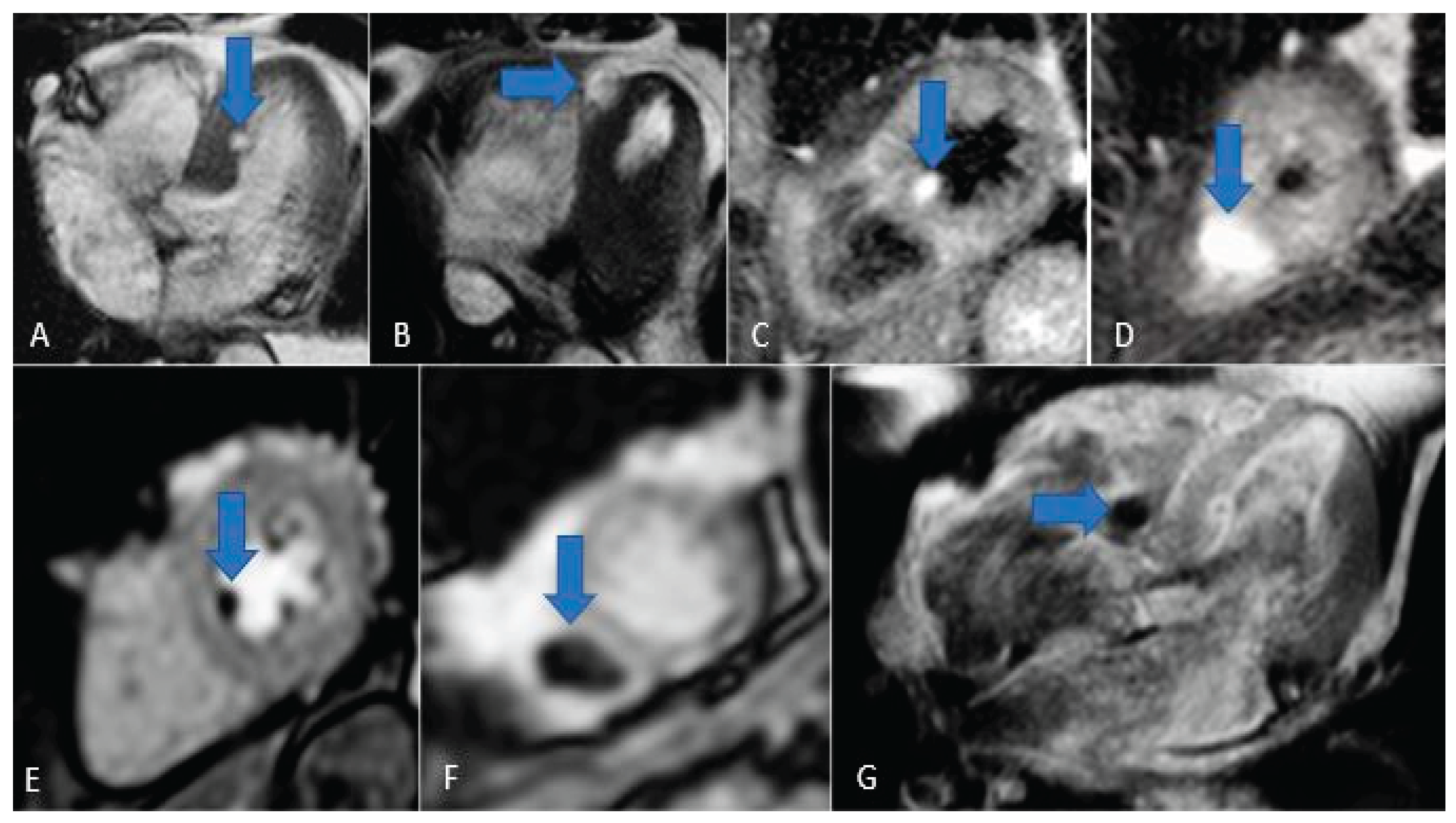 Preprints 175995 g015