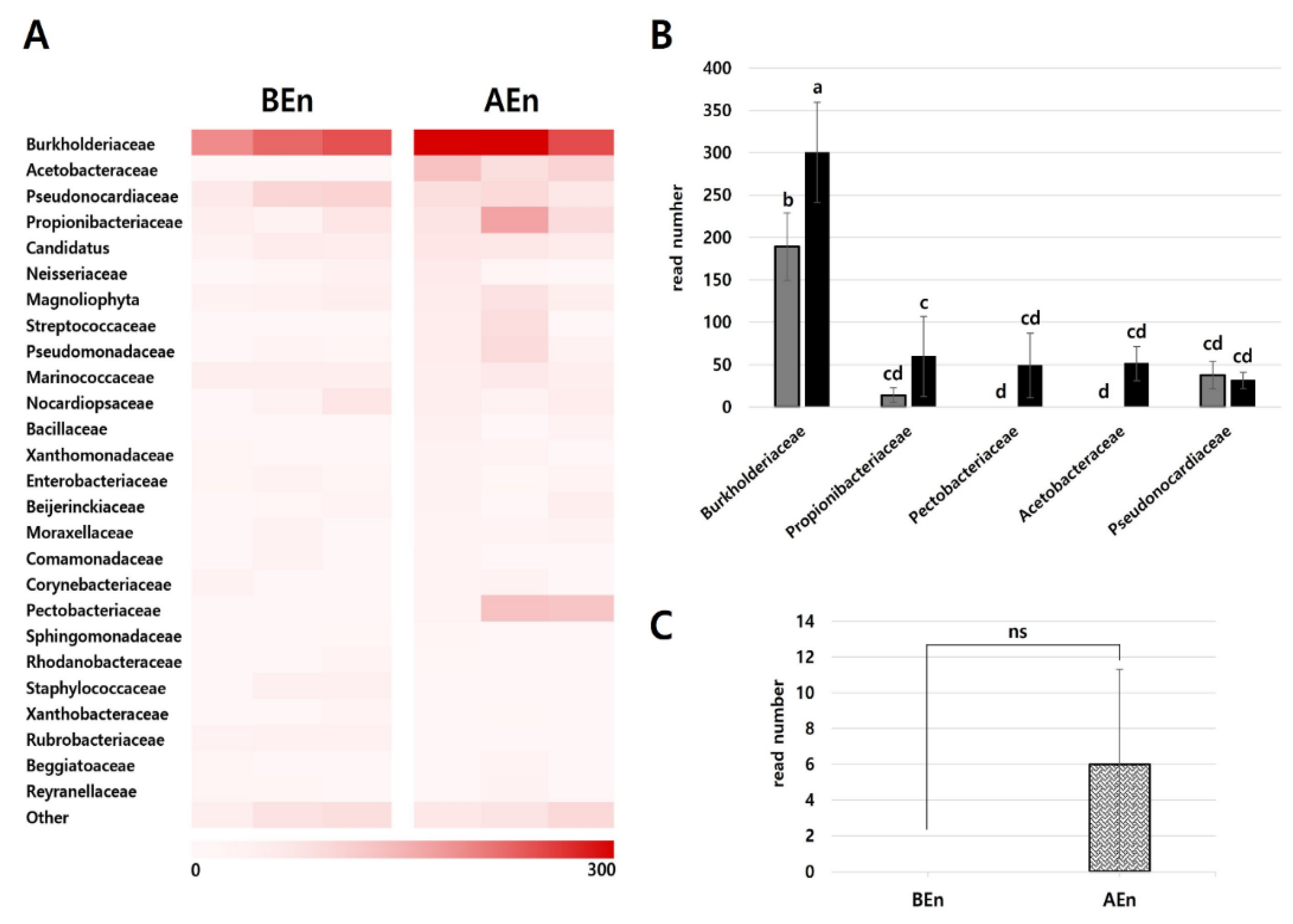Preprints 121146 g004