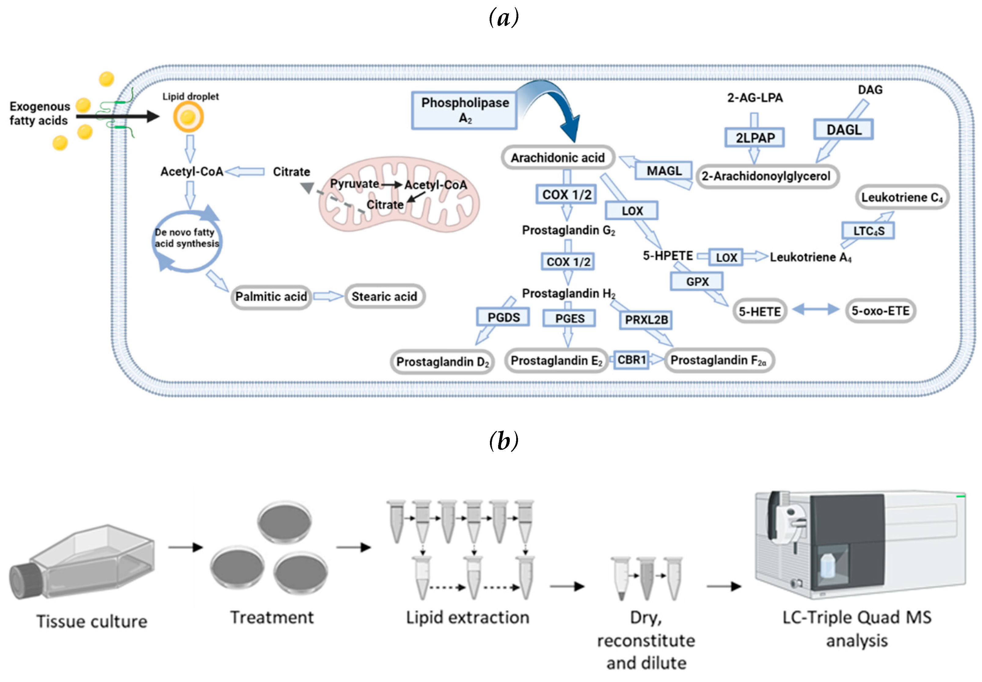 Preprints 79868 g001