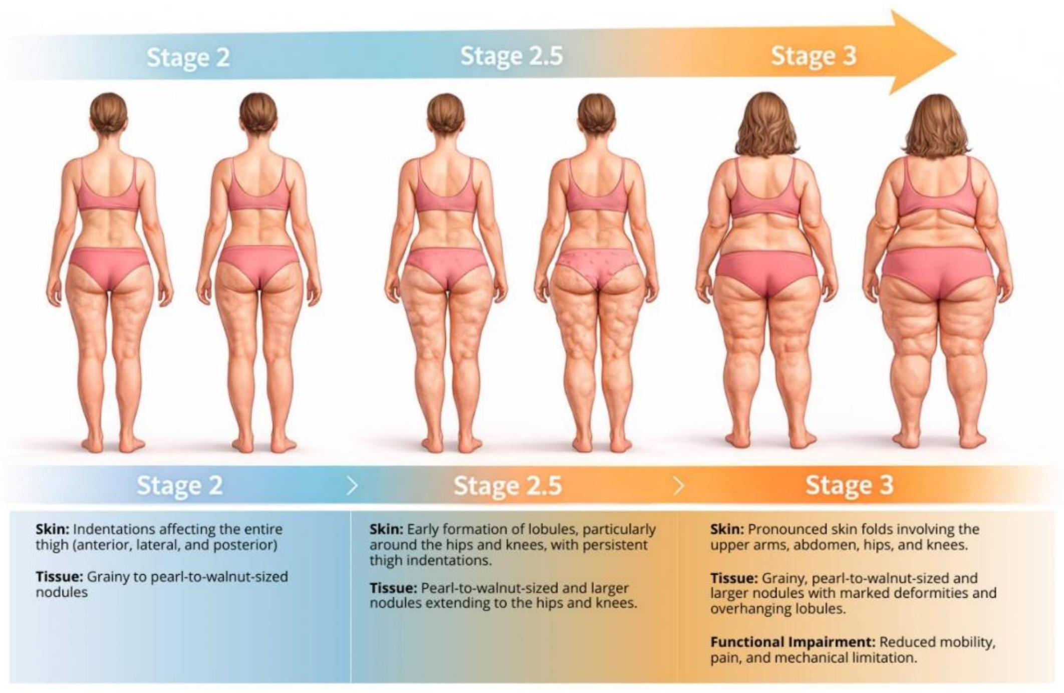 Preprints 196871 g002