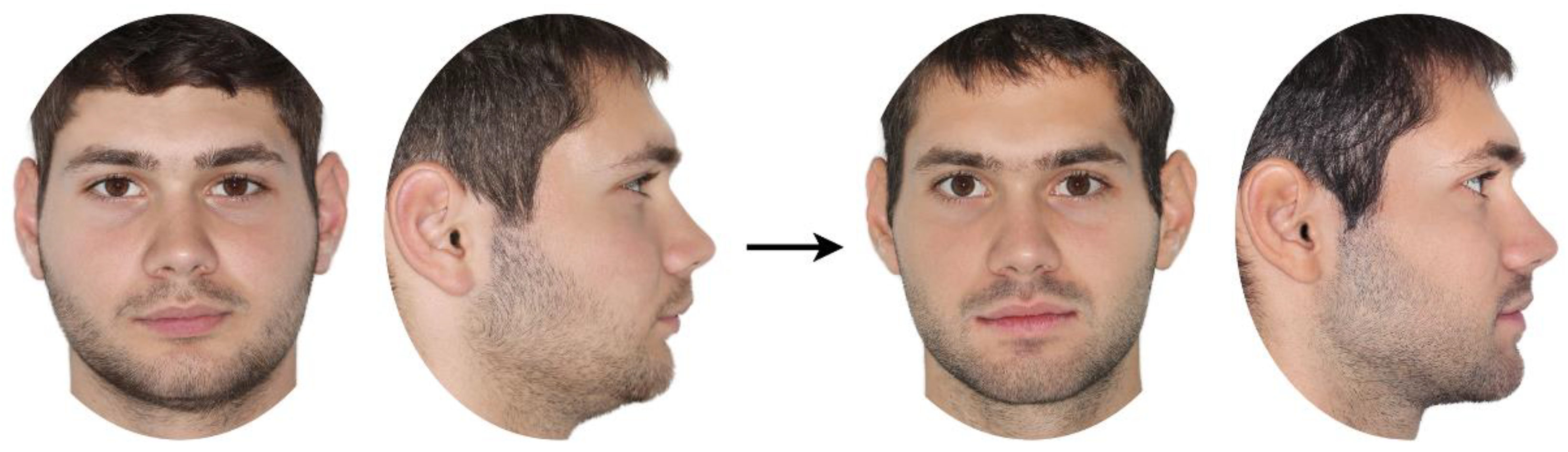 Preprints 121328 g001