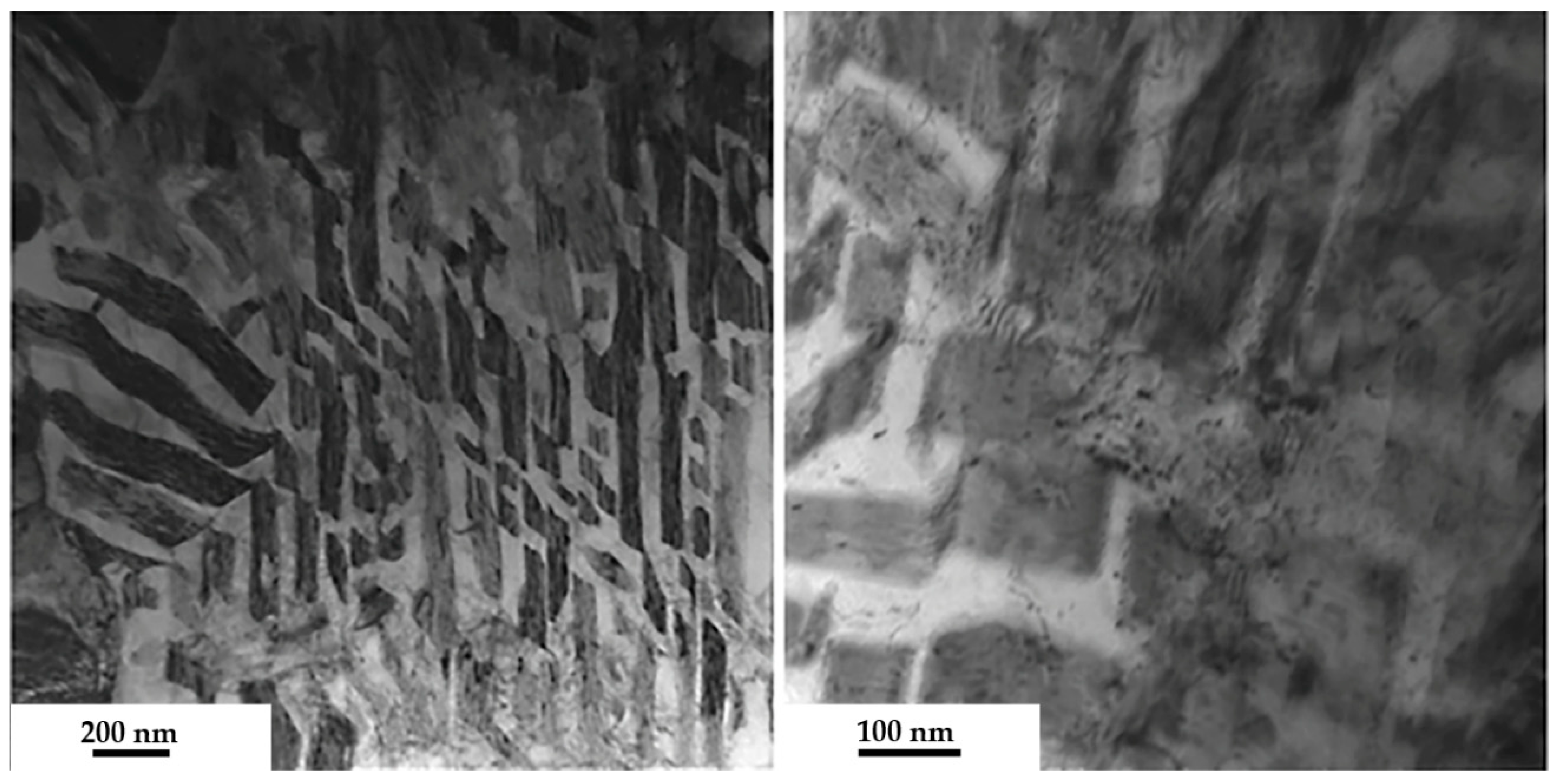 Preprints 83561 g003