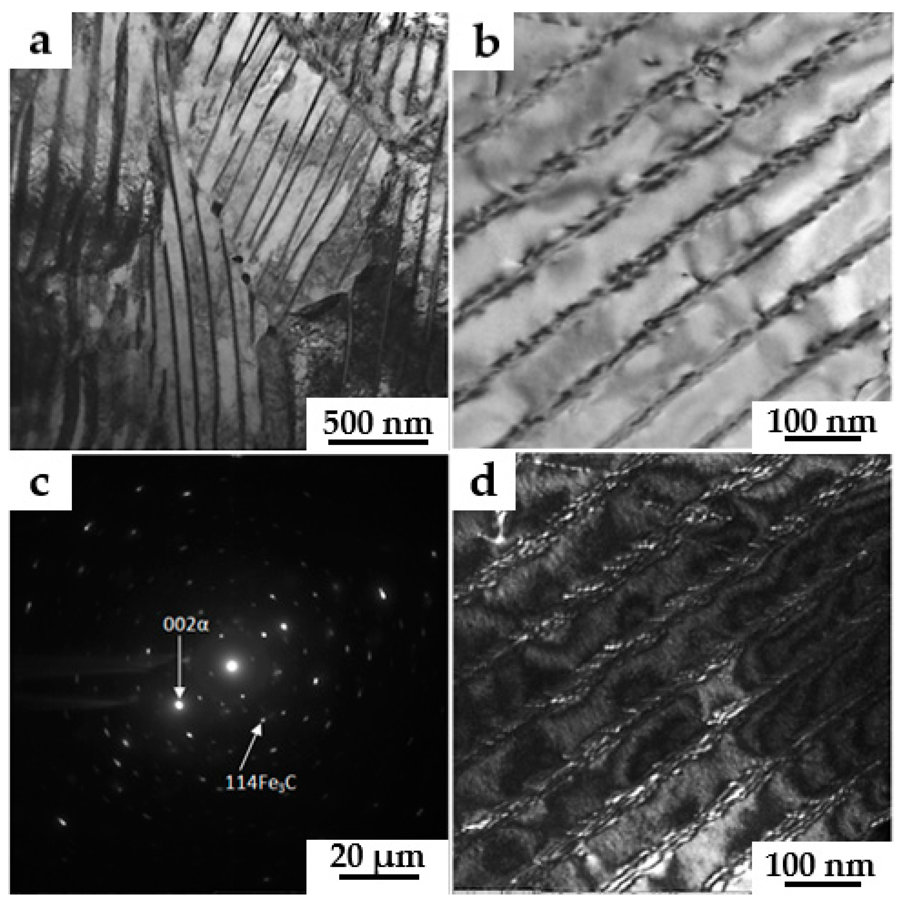 Preprints 83561 g004