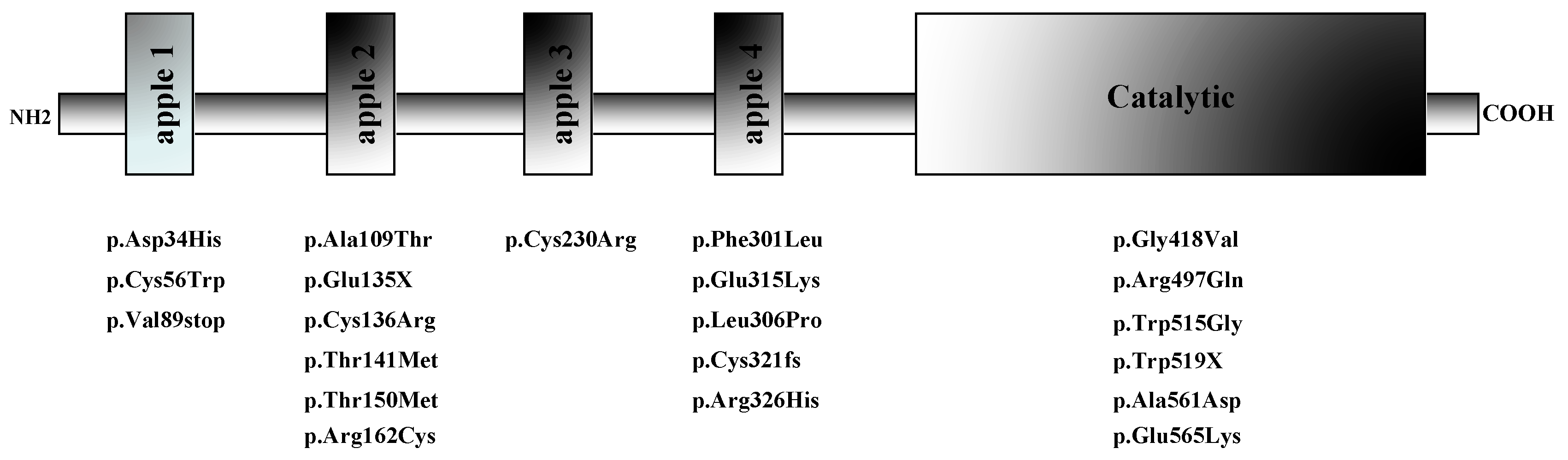 Preprints 166959 g001