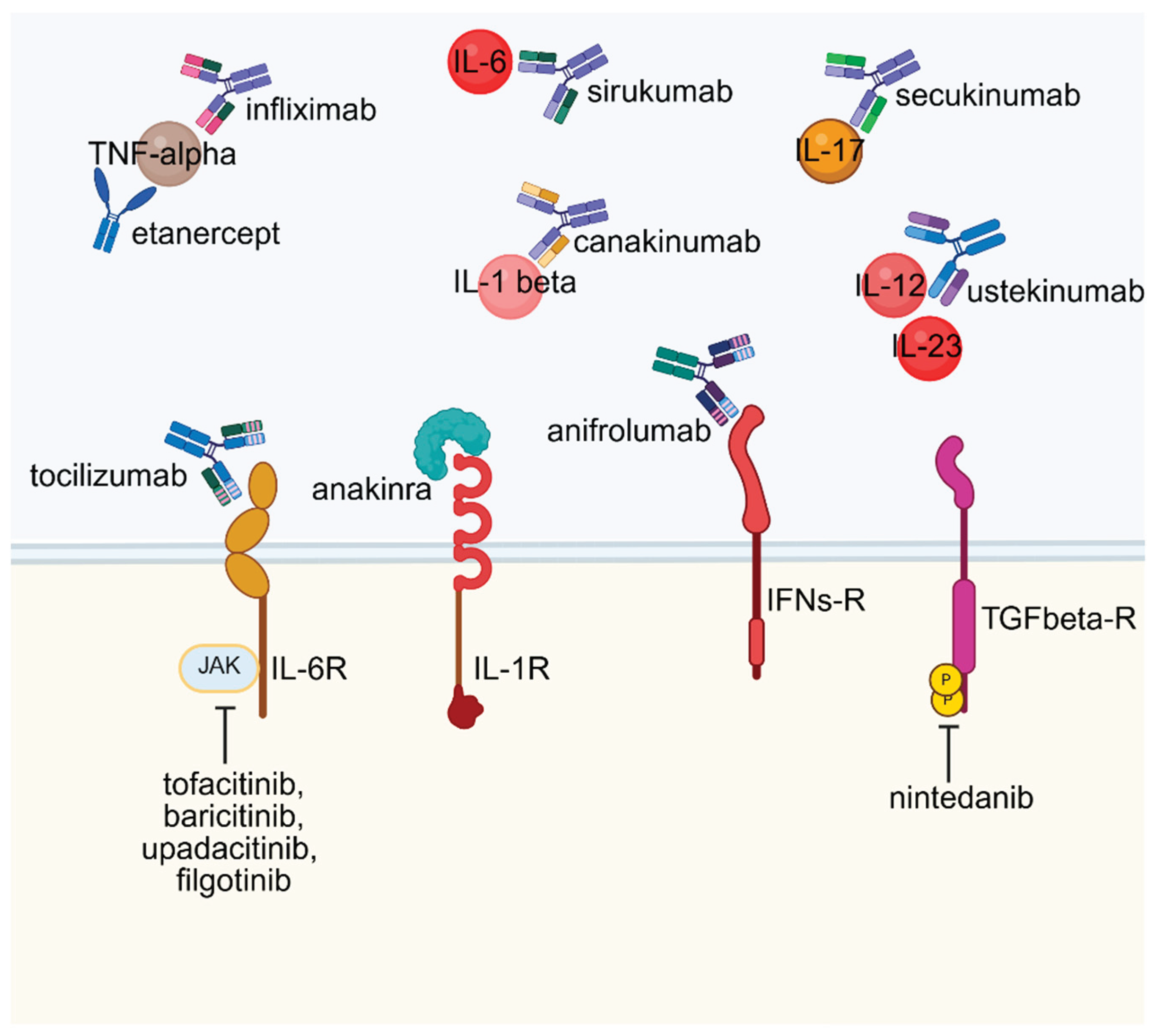 Preprints 172029 g002