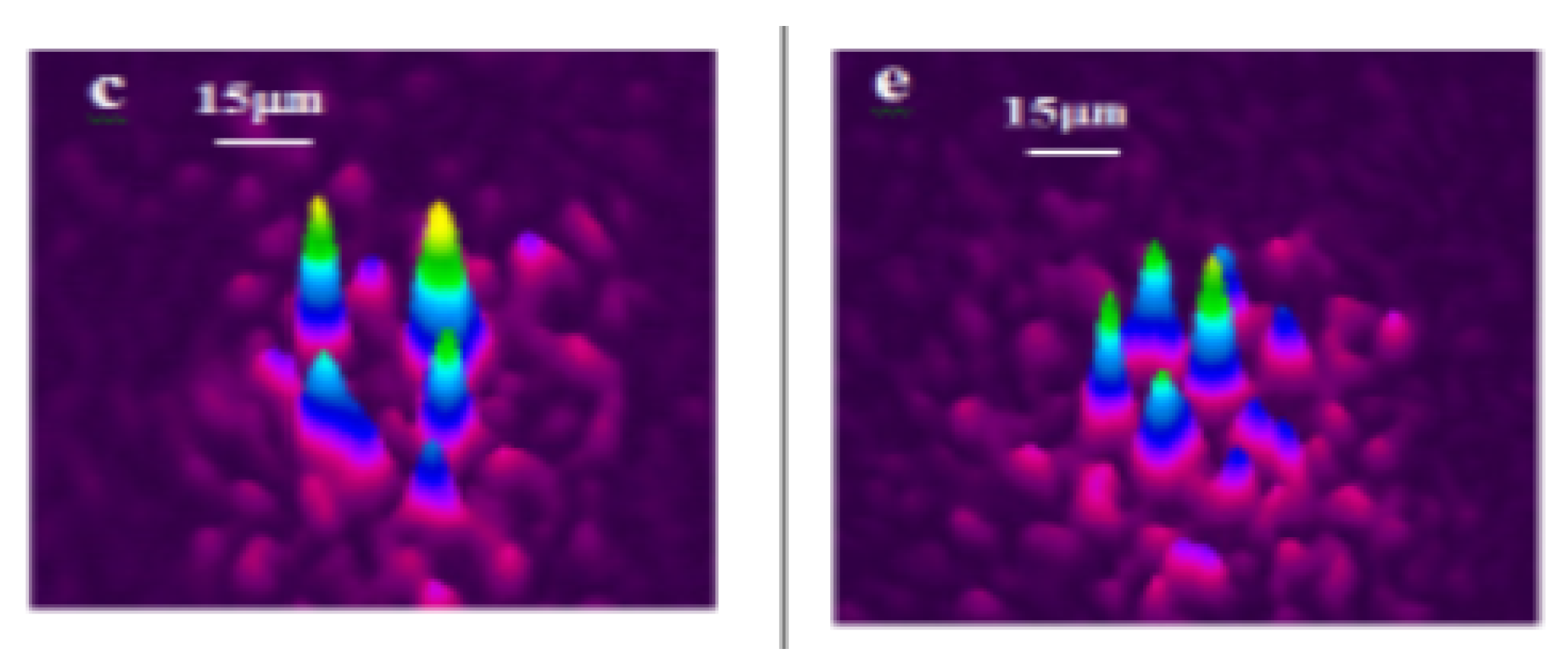 Preprints 95761 g003