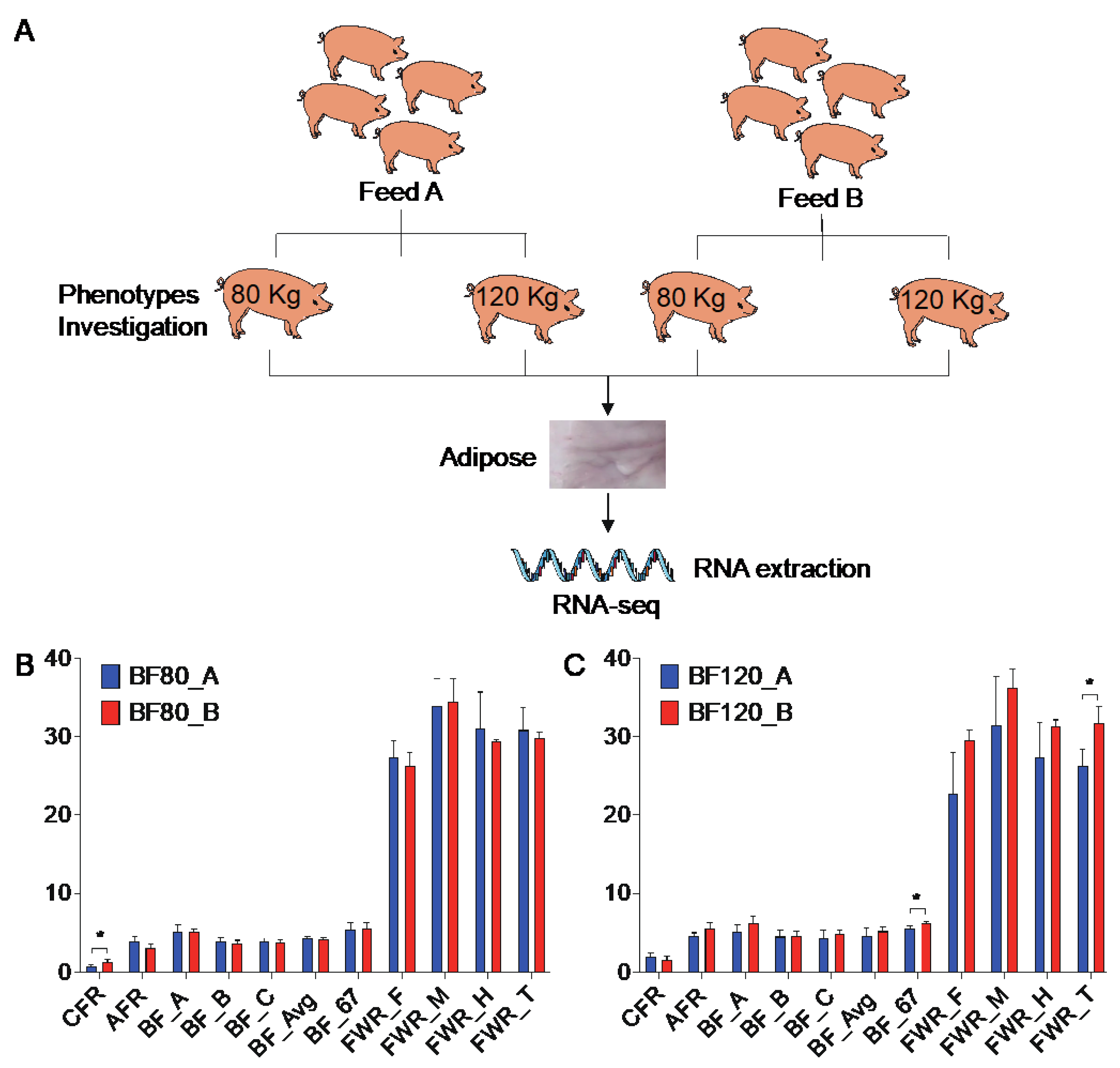 Preprints 102203 g001