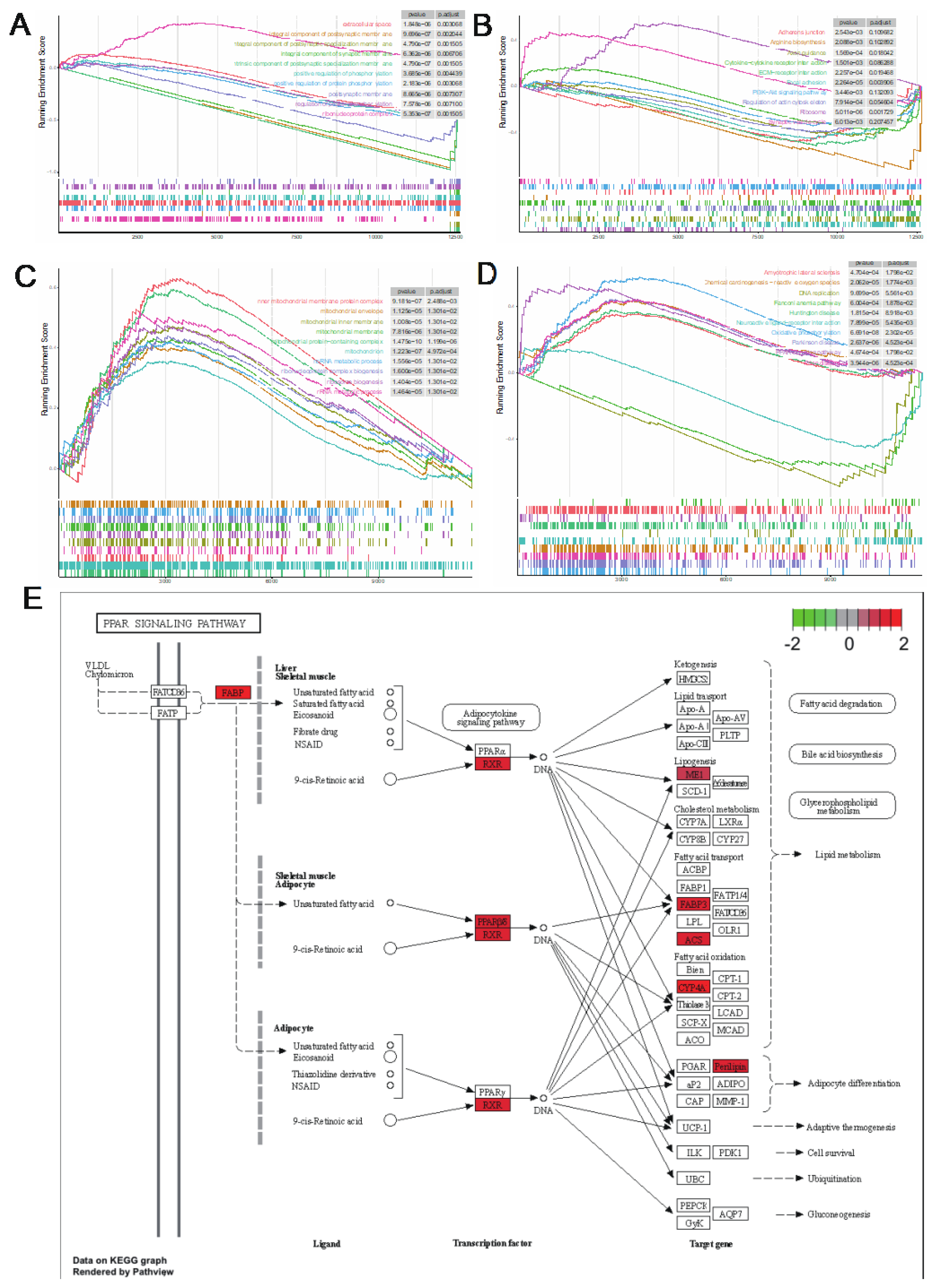Preprints 102203 g005