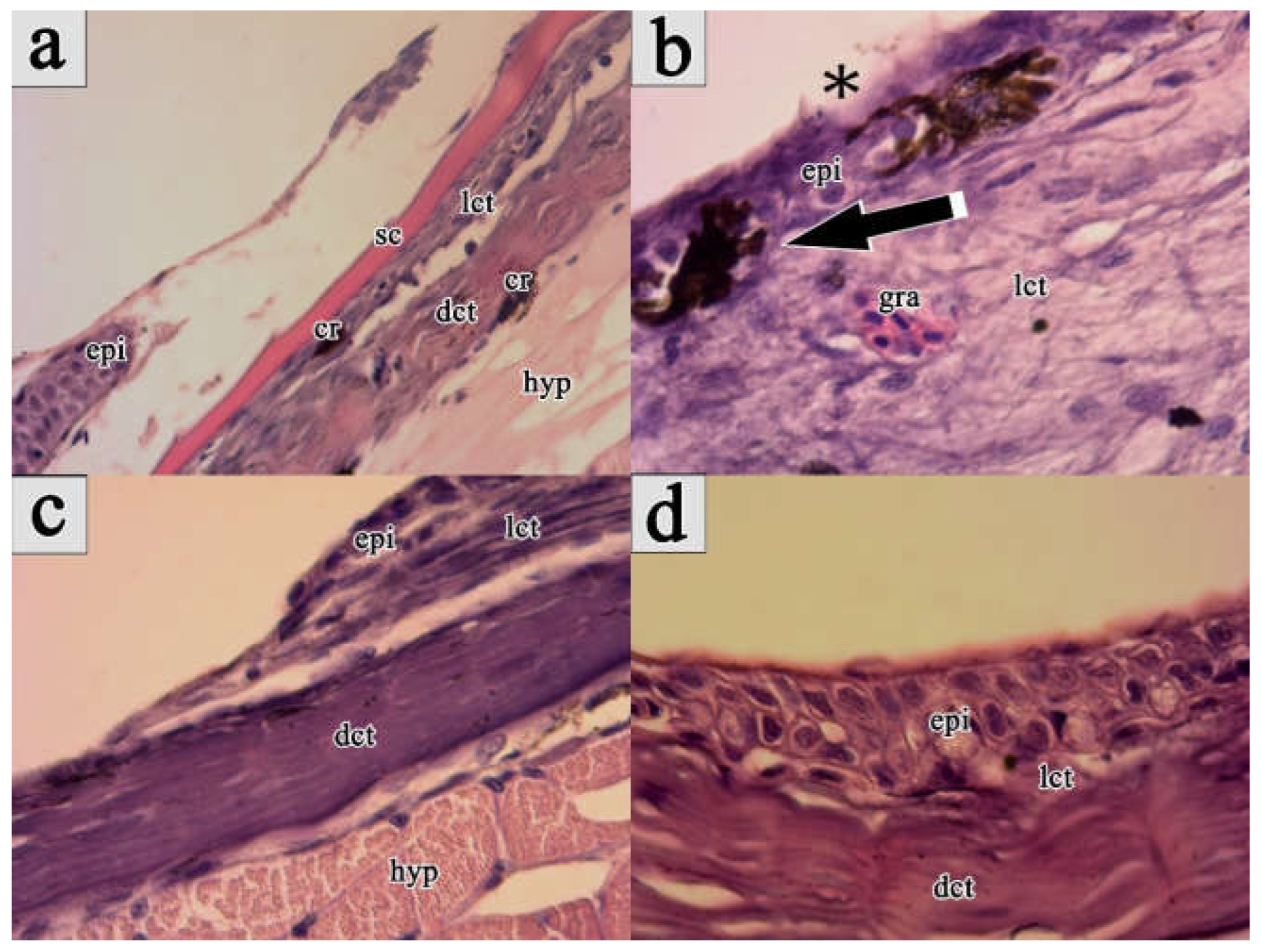 Preprints 162974 g001