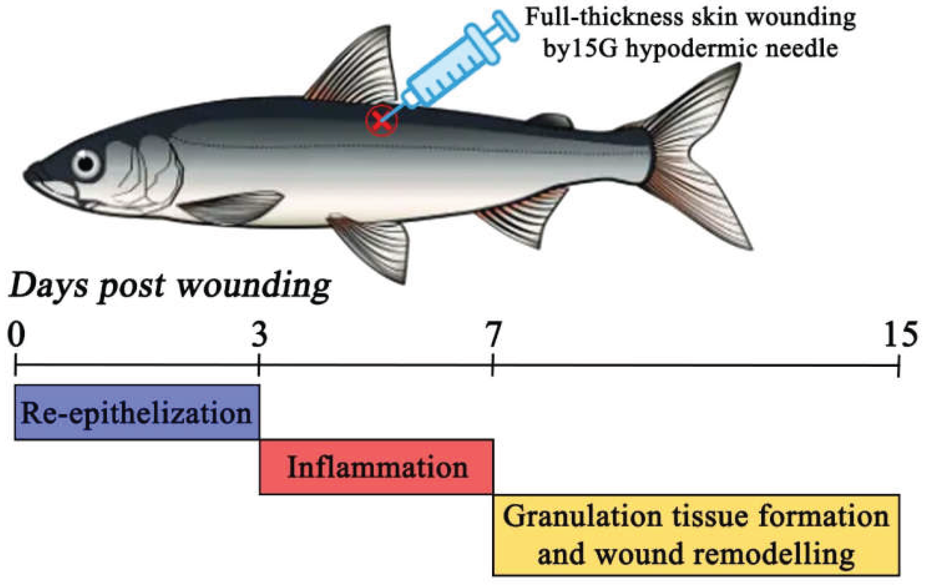 Preprints 162974 g003