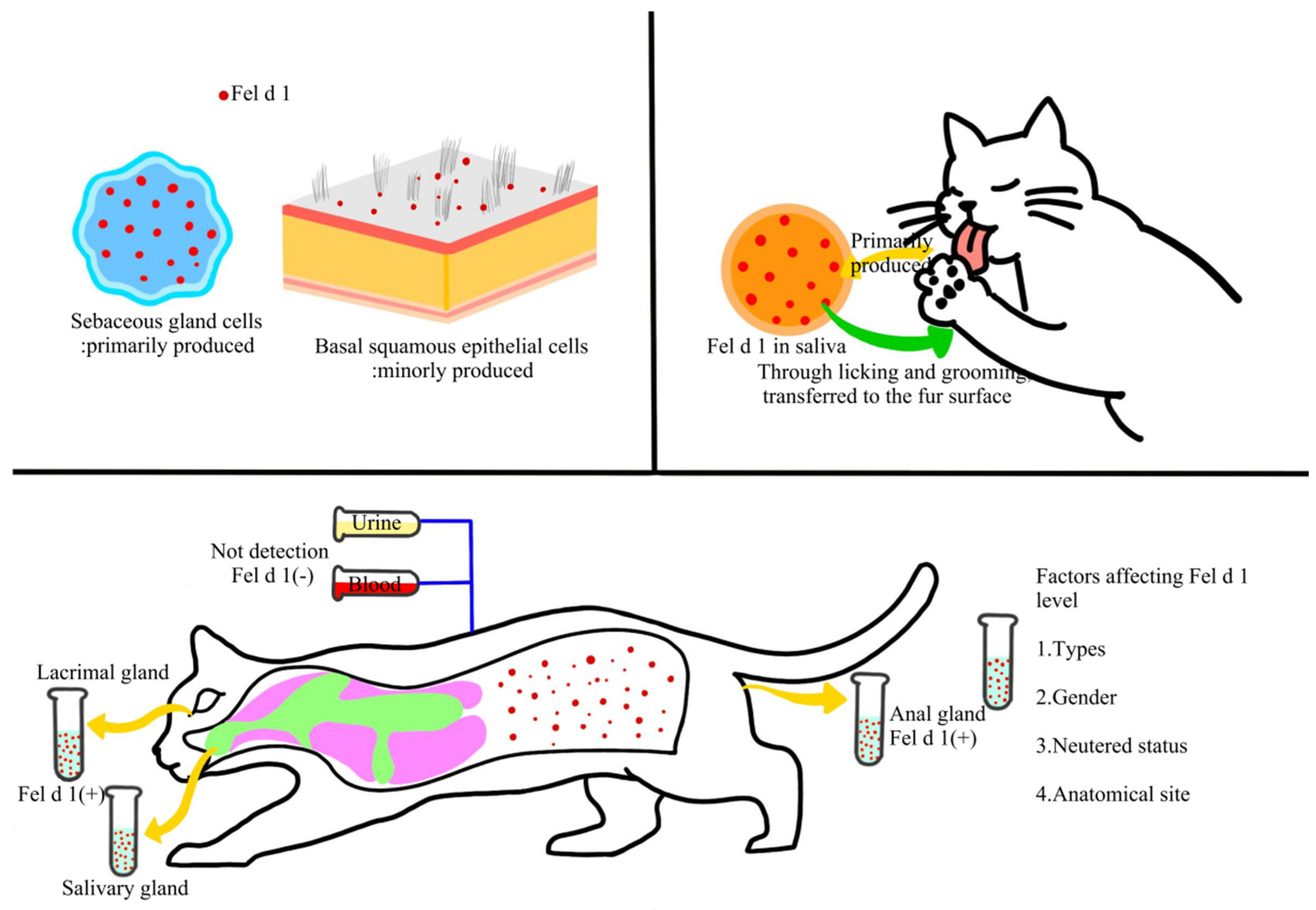 Preprints 179219 g001