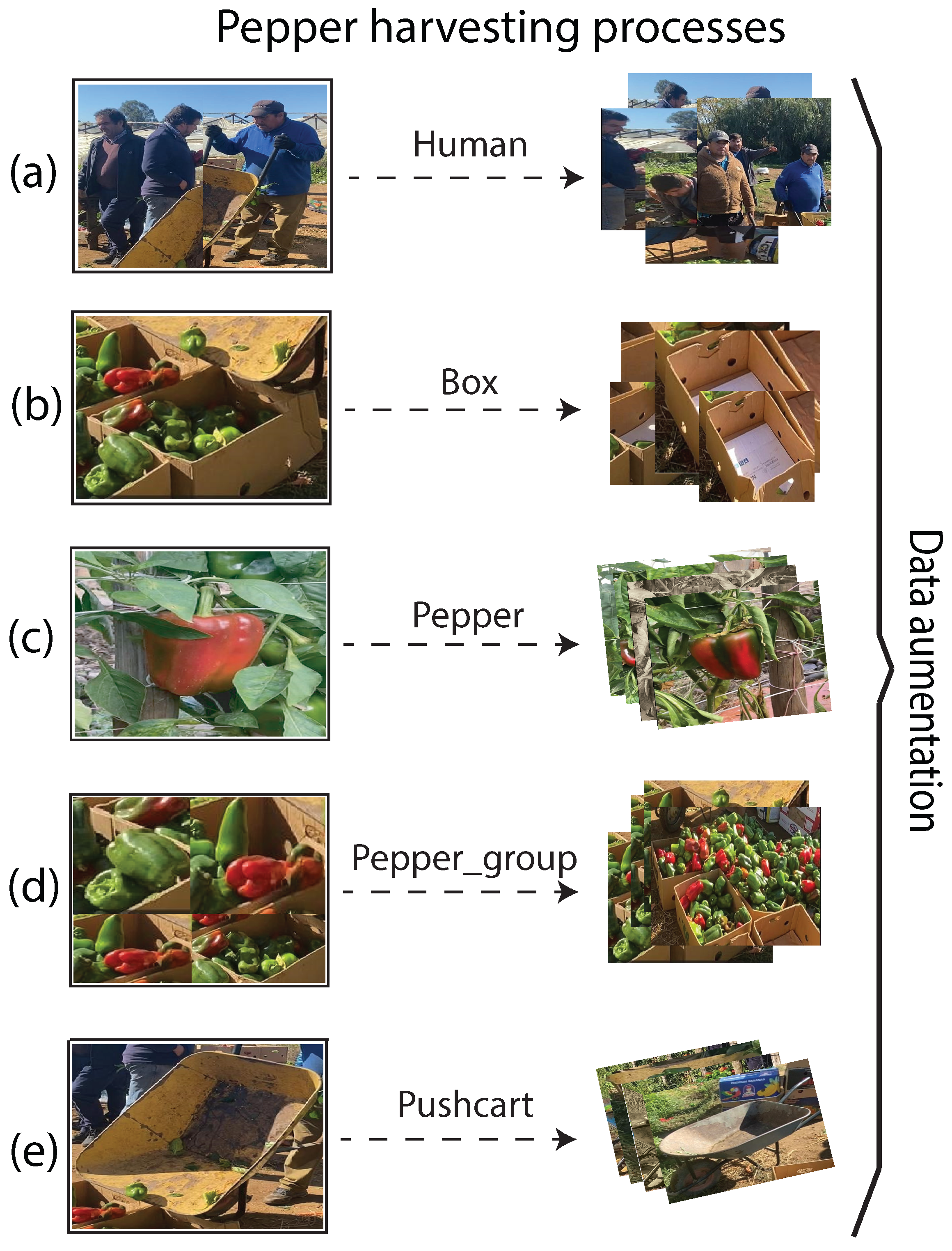 Preprints 160388 g007