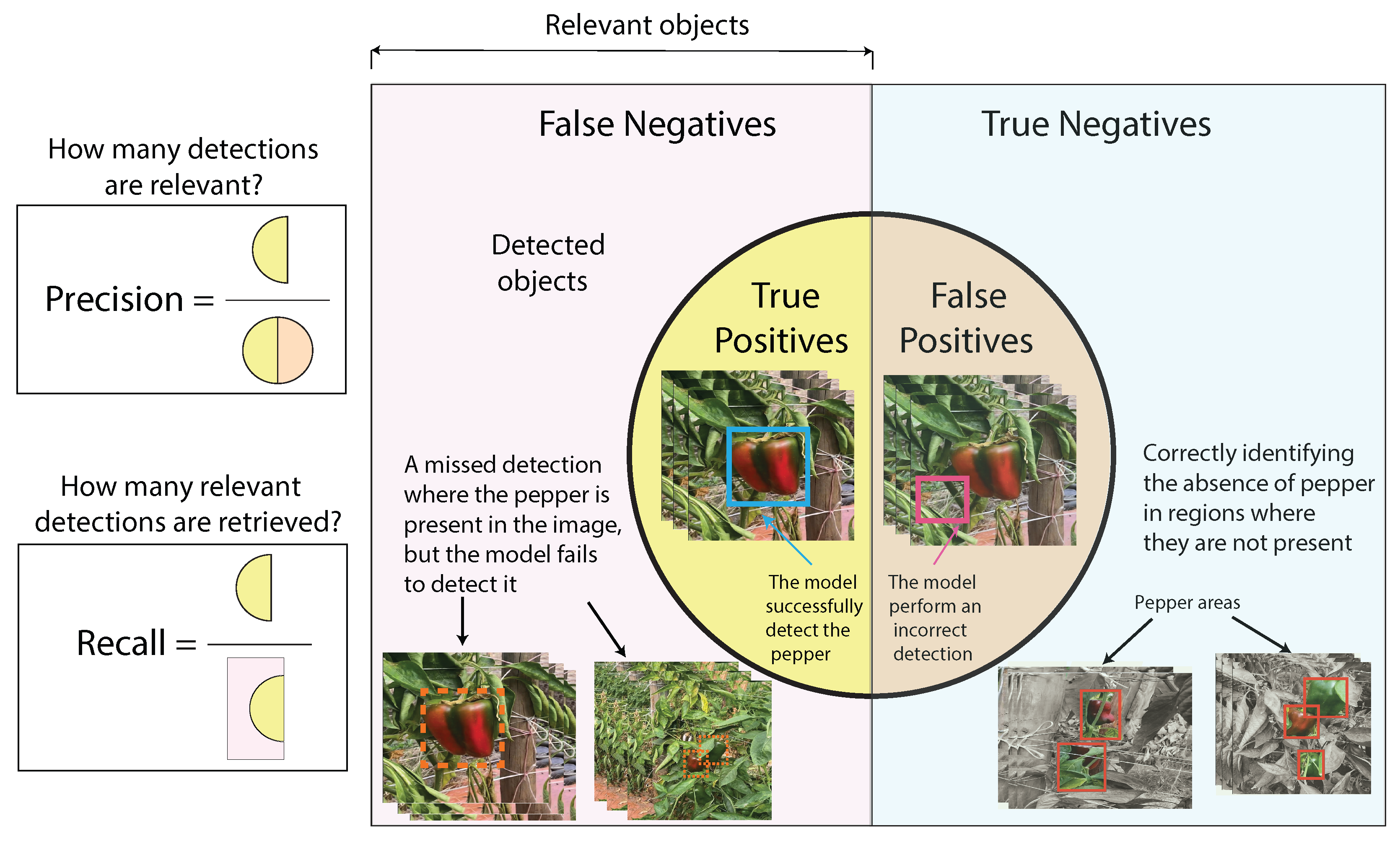 Preprints 160388 g008