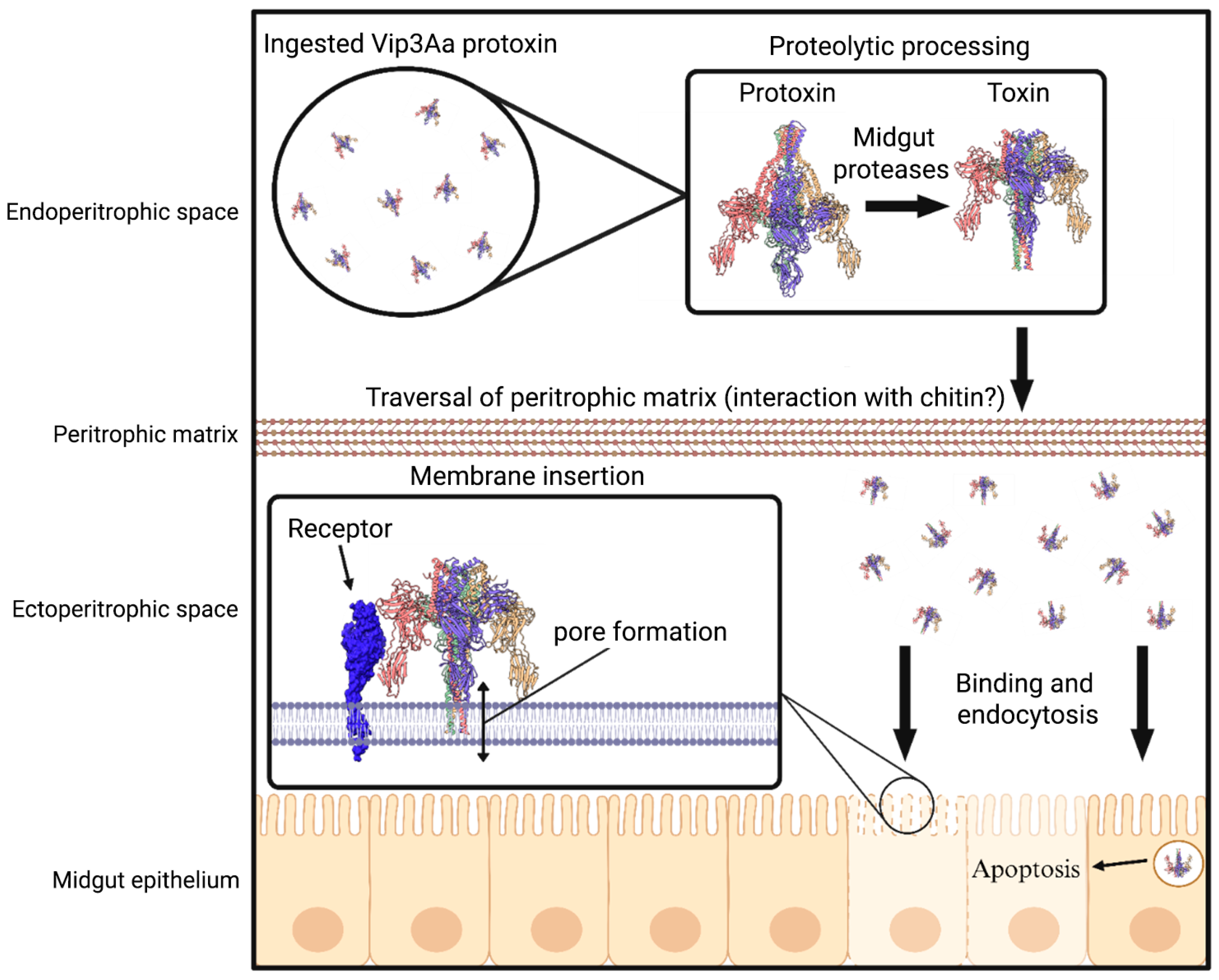 Preprints 167371 g001