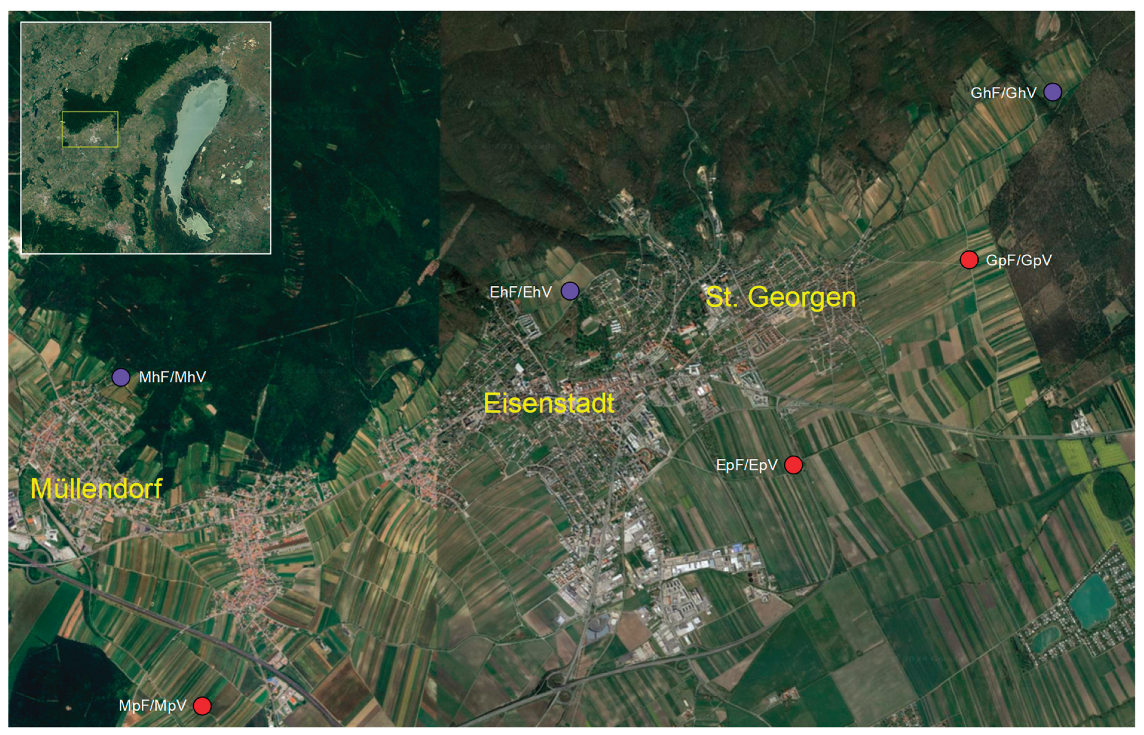 Preprints 164216 g001