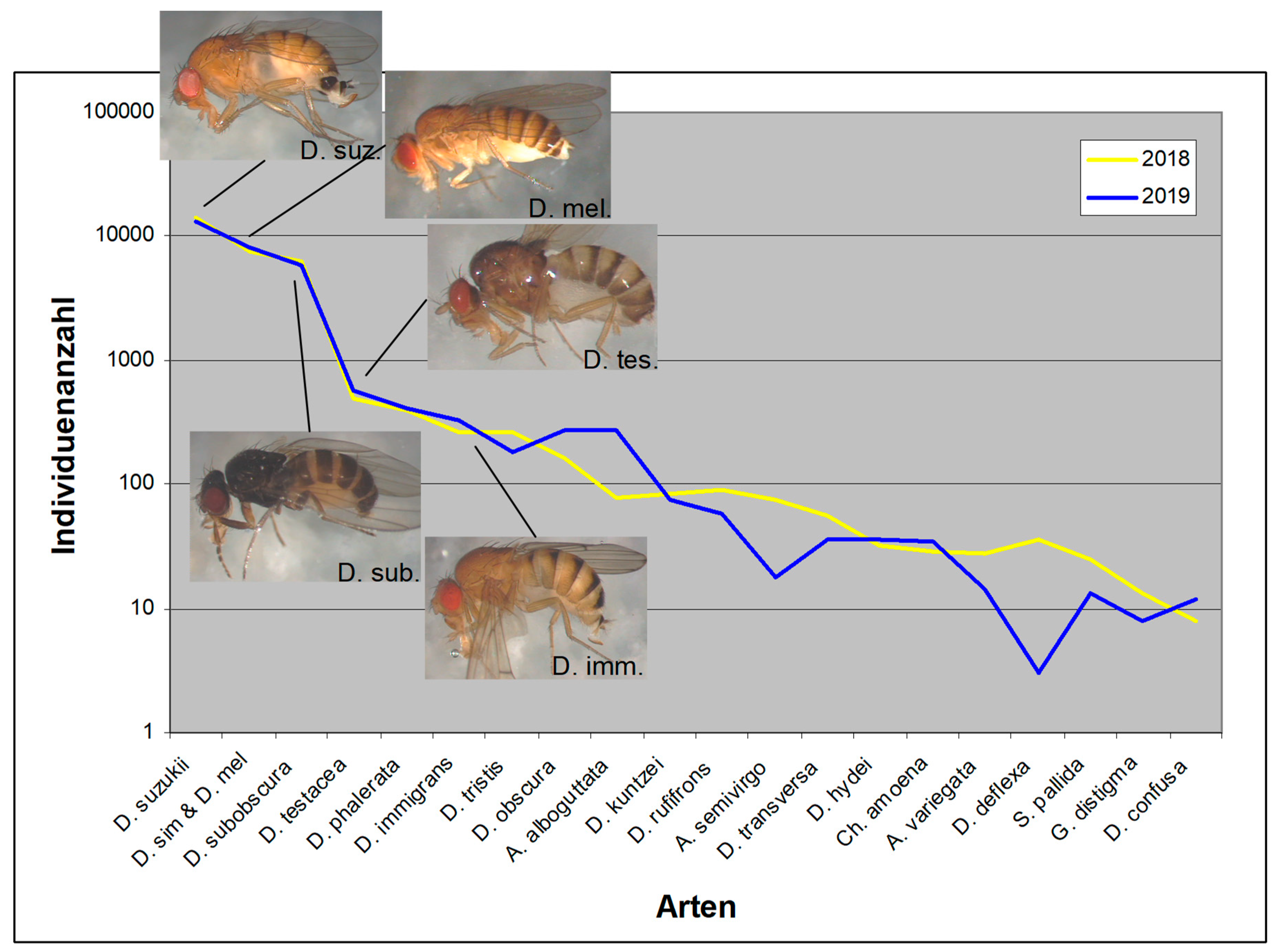 Preprints 164216 g004