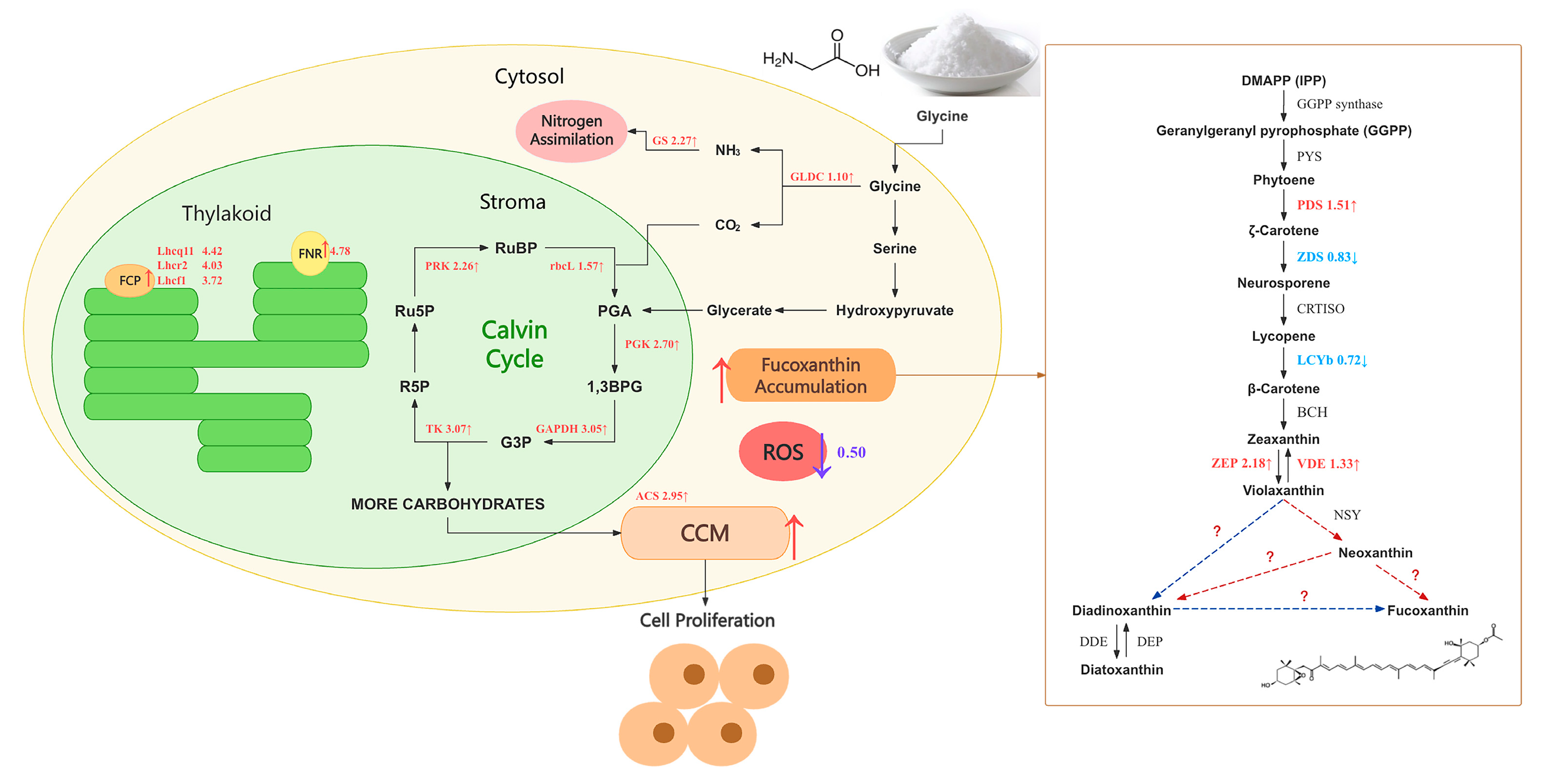 Preprints 169989 g005