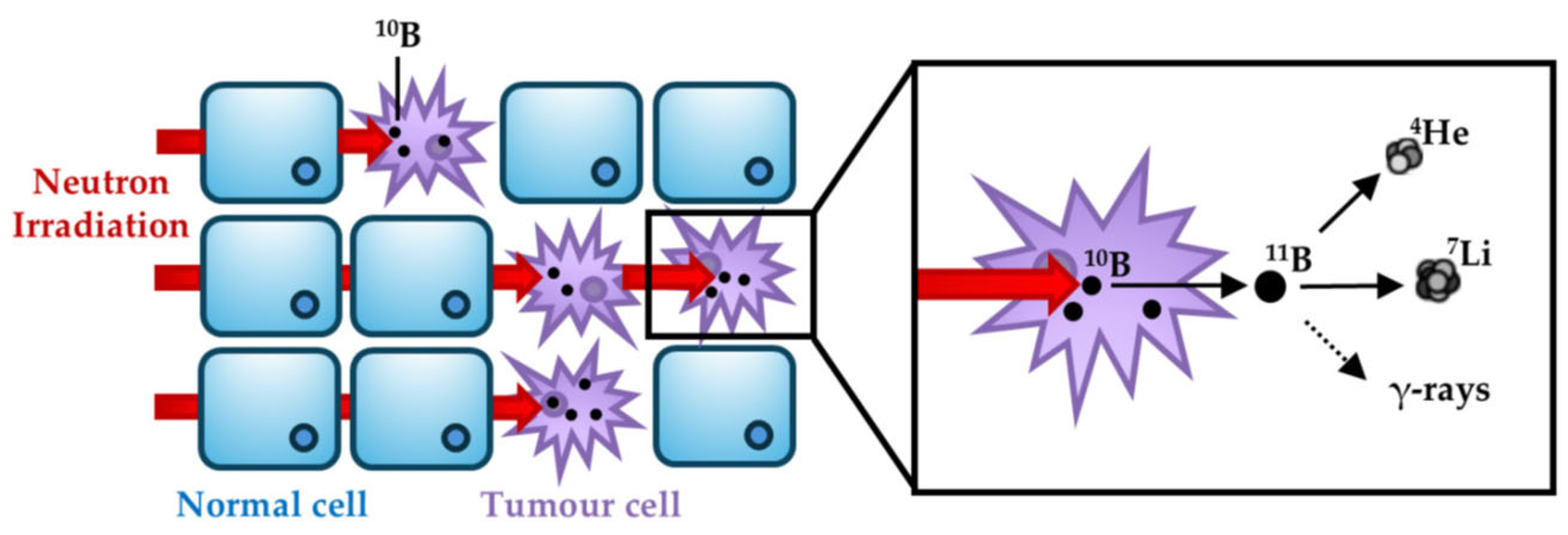 Preprints 187446 g001