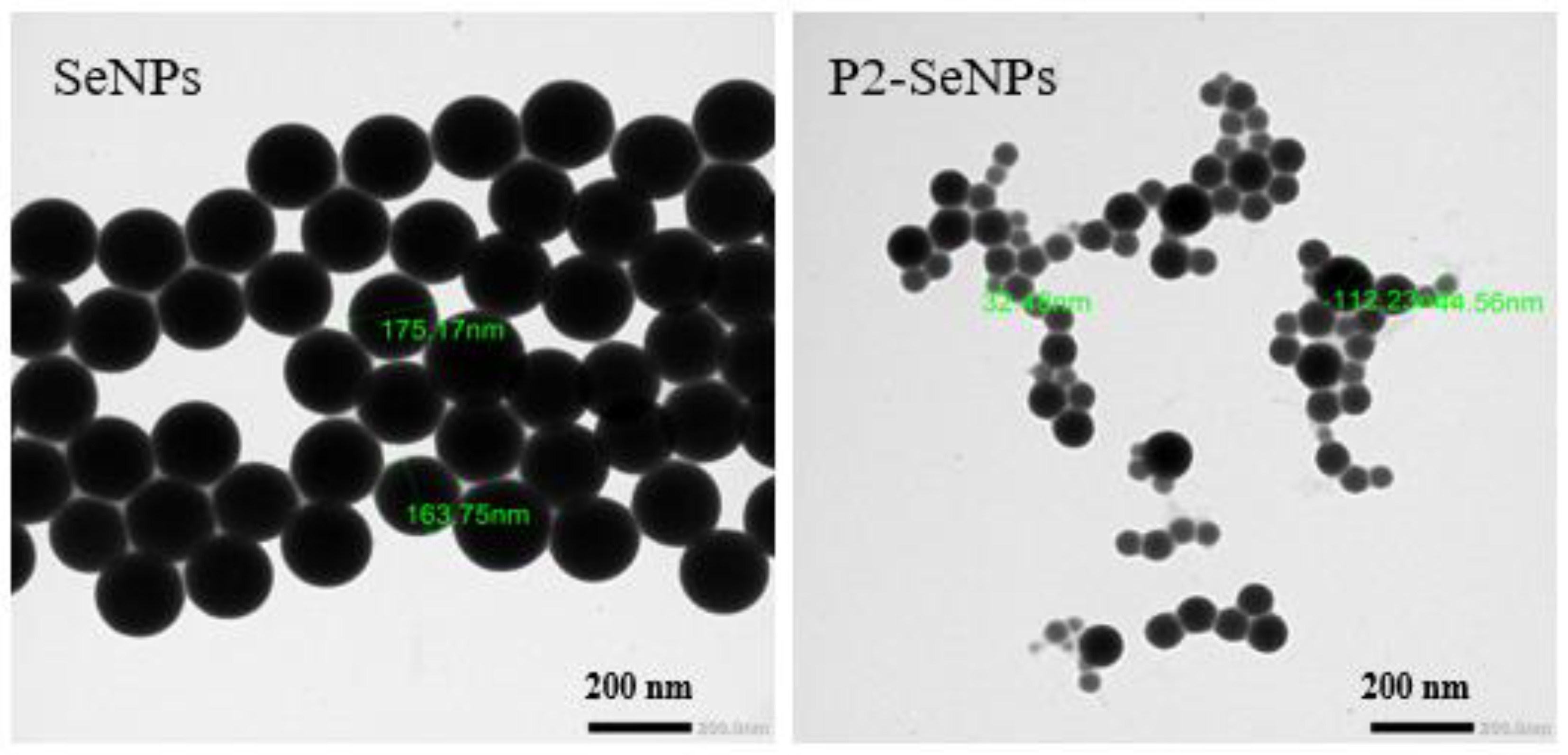 Preprints 148405 g005