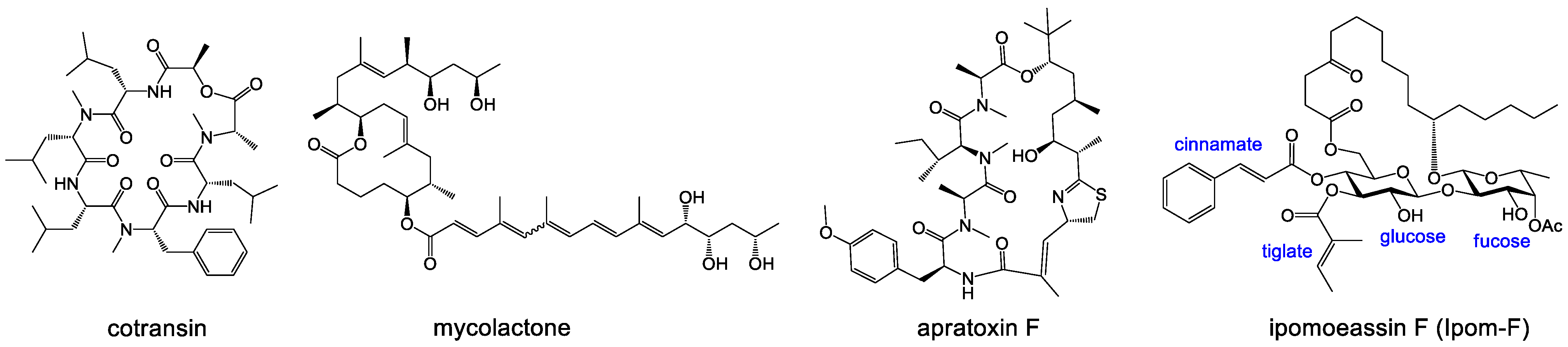 Preprints 138054 g001