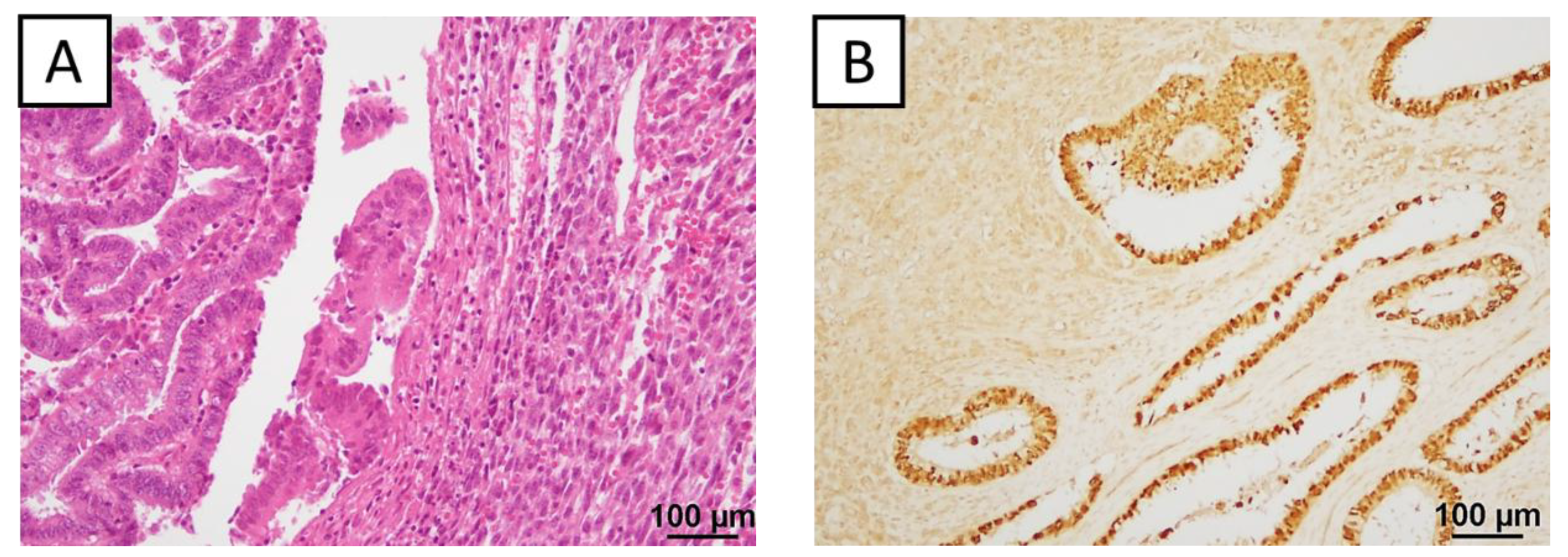 Preprints 151659 g002a