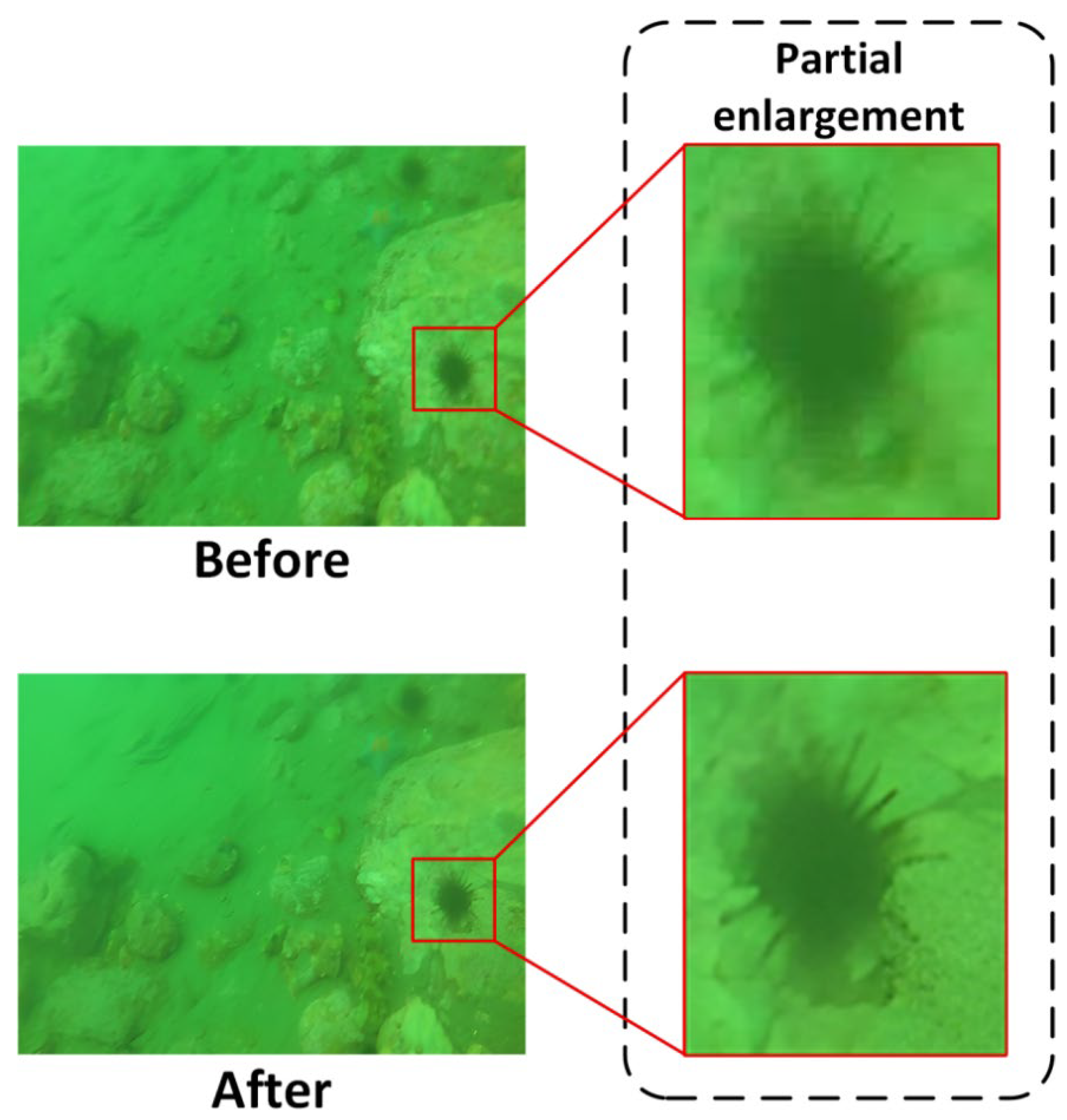 Preprints 176832 g008