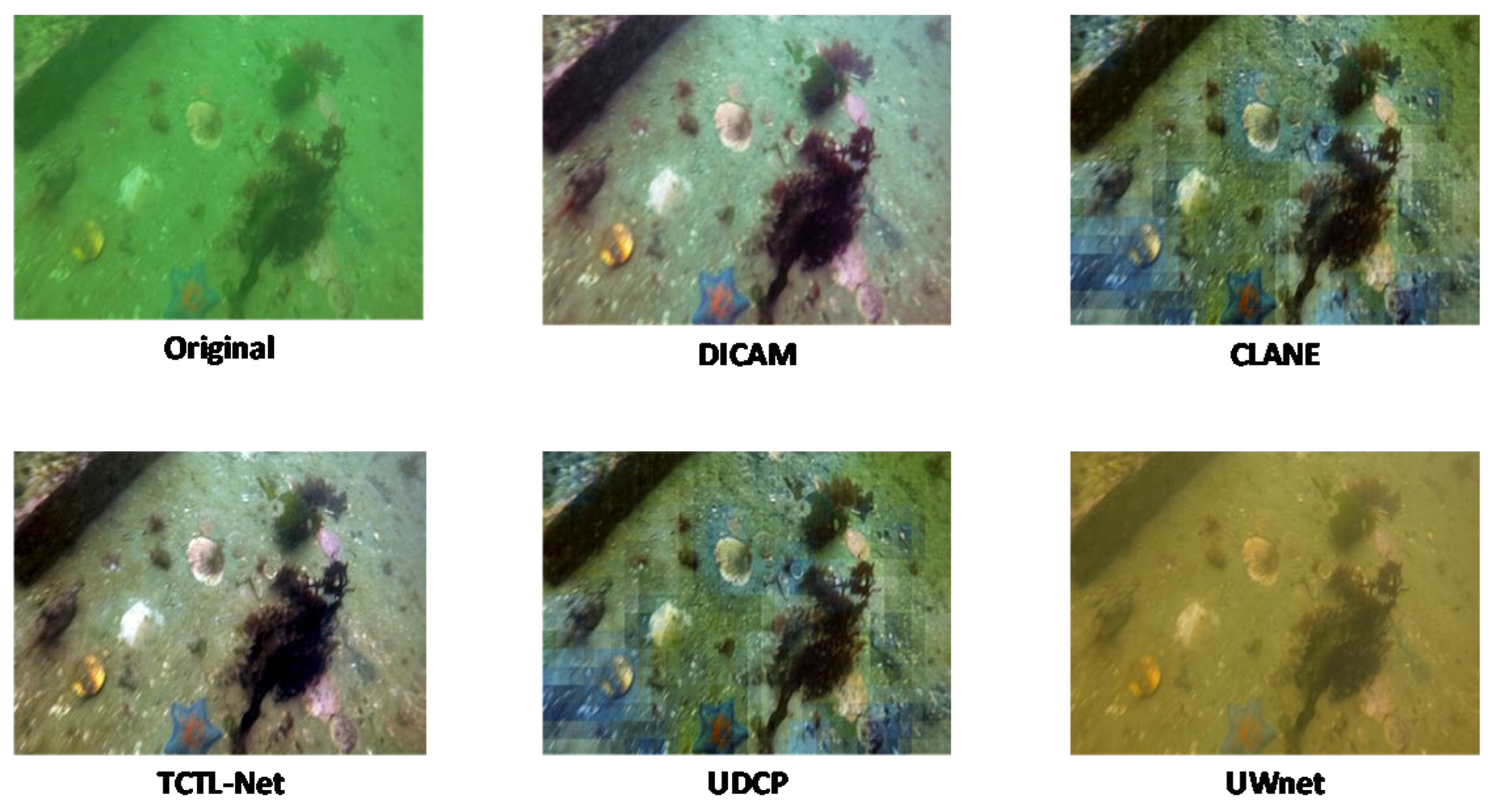 Preprints 176832 g009