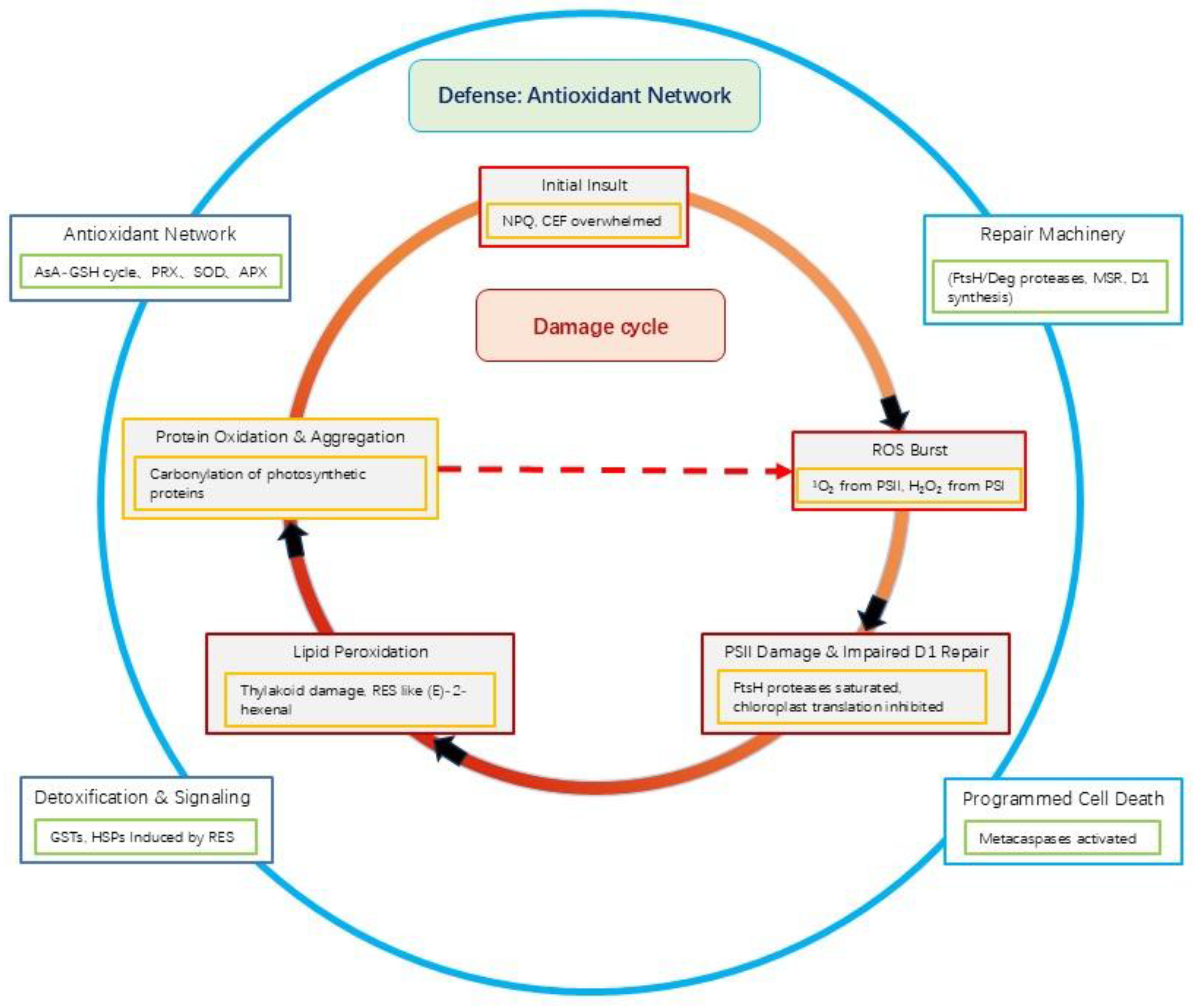Preprints 194266 g002