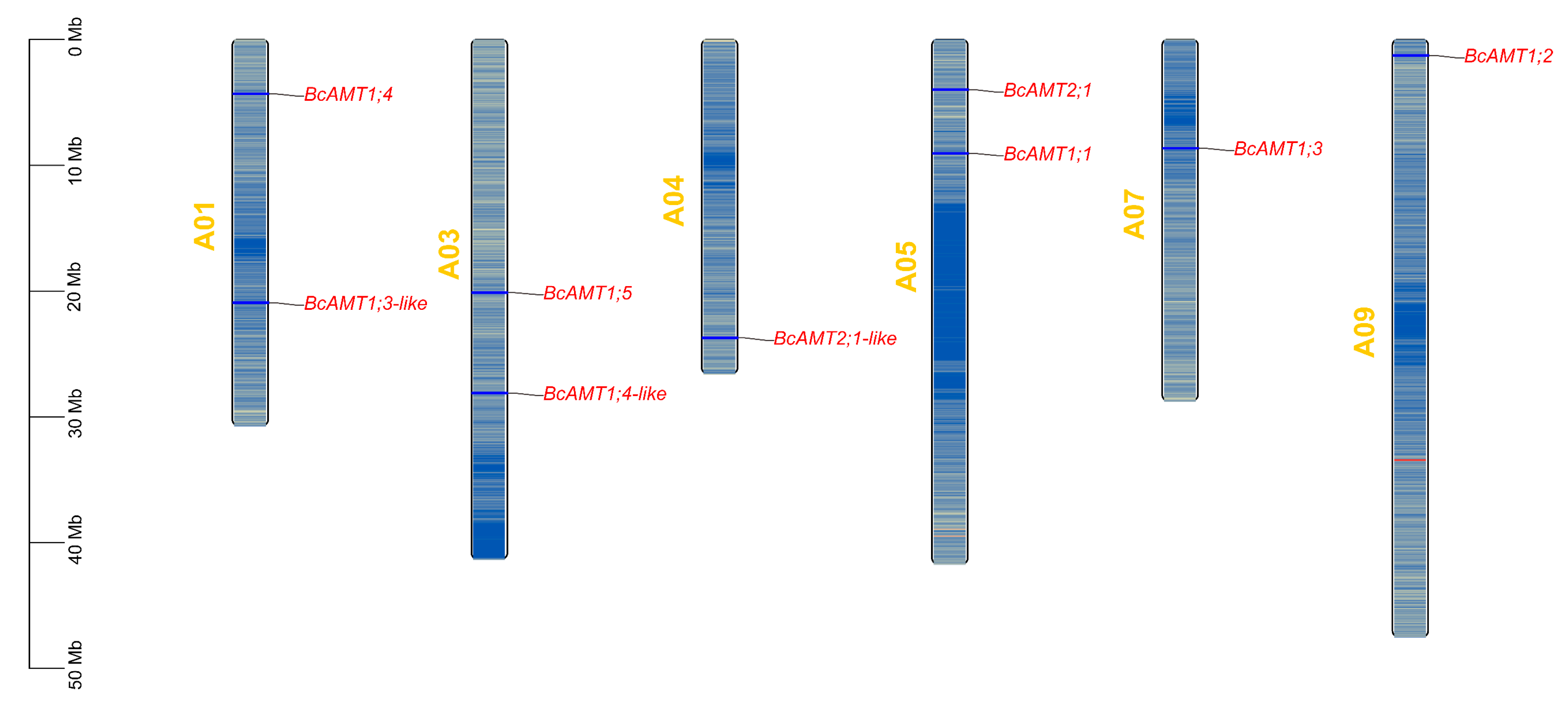 Preprints 184987 g001