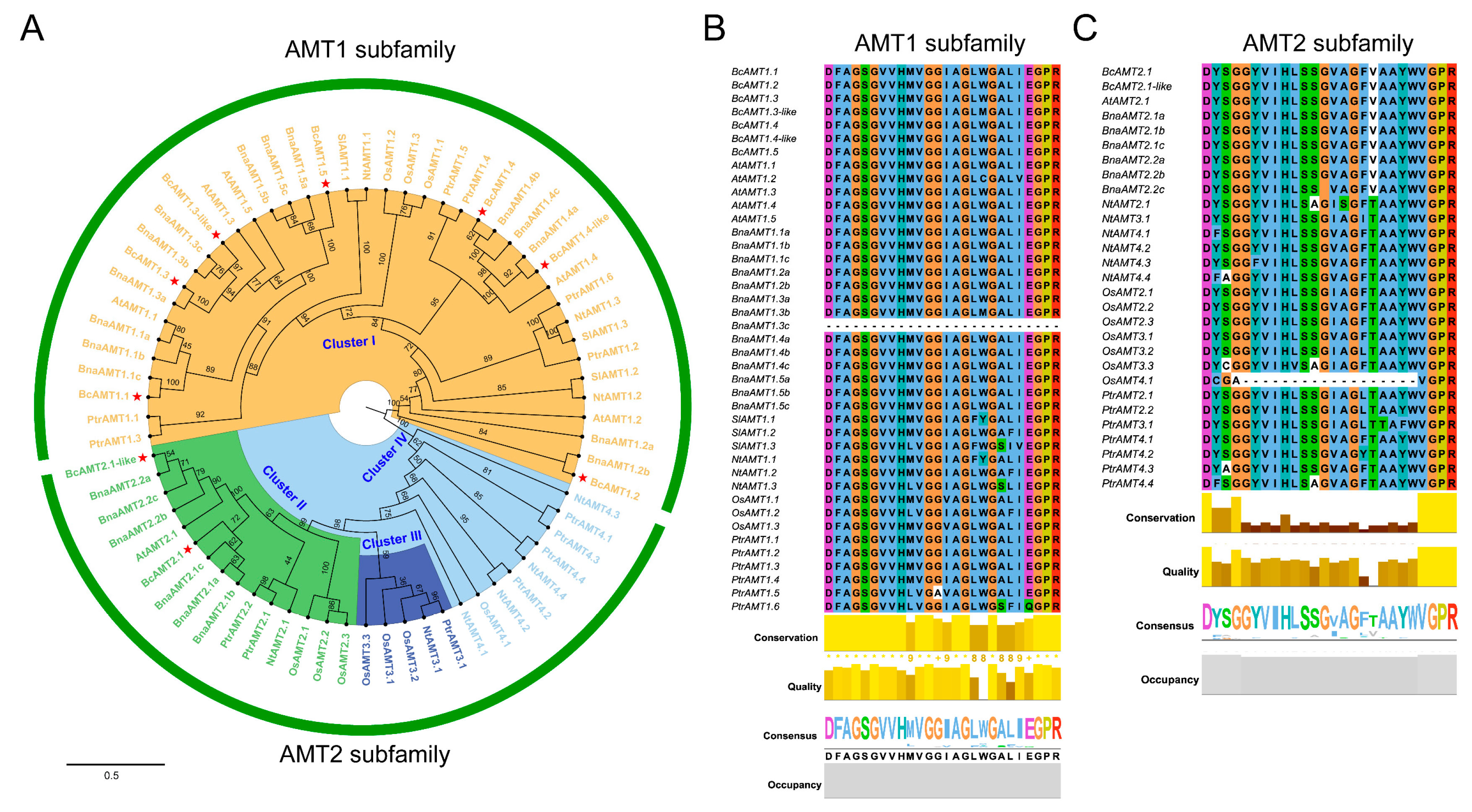 Preprints 184987 g002