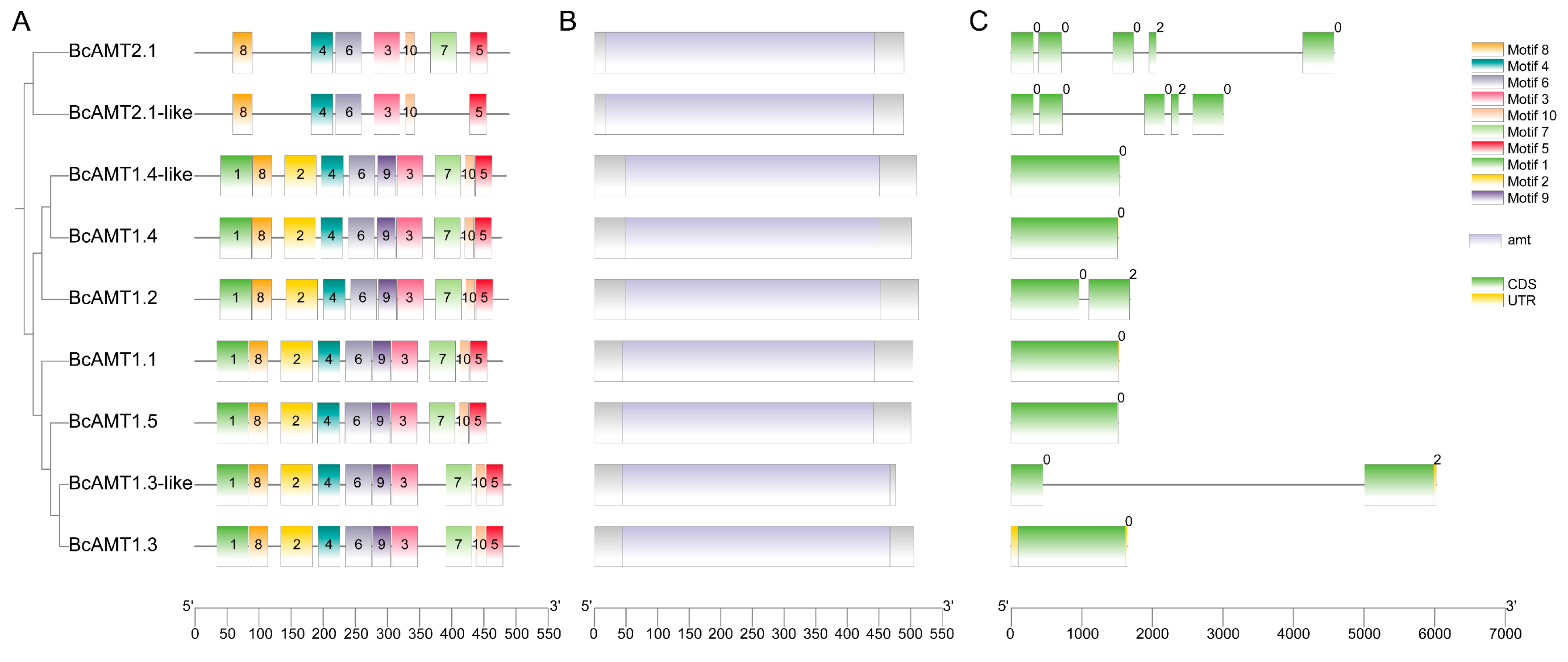 Preprints 184987 g003
