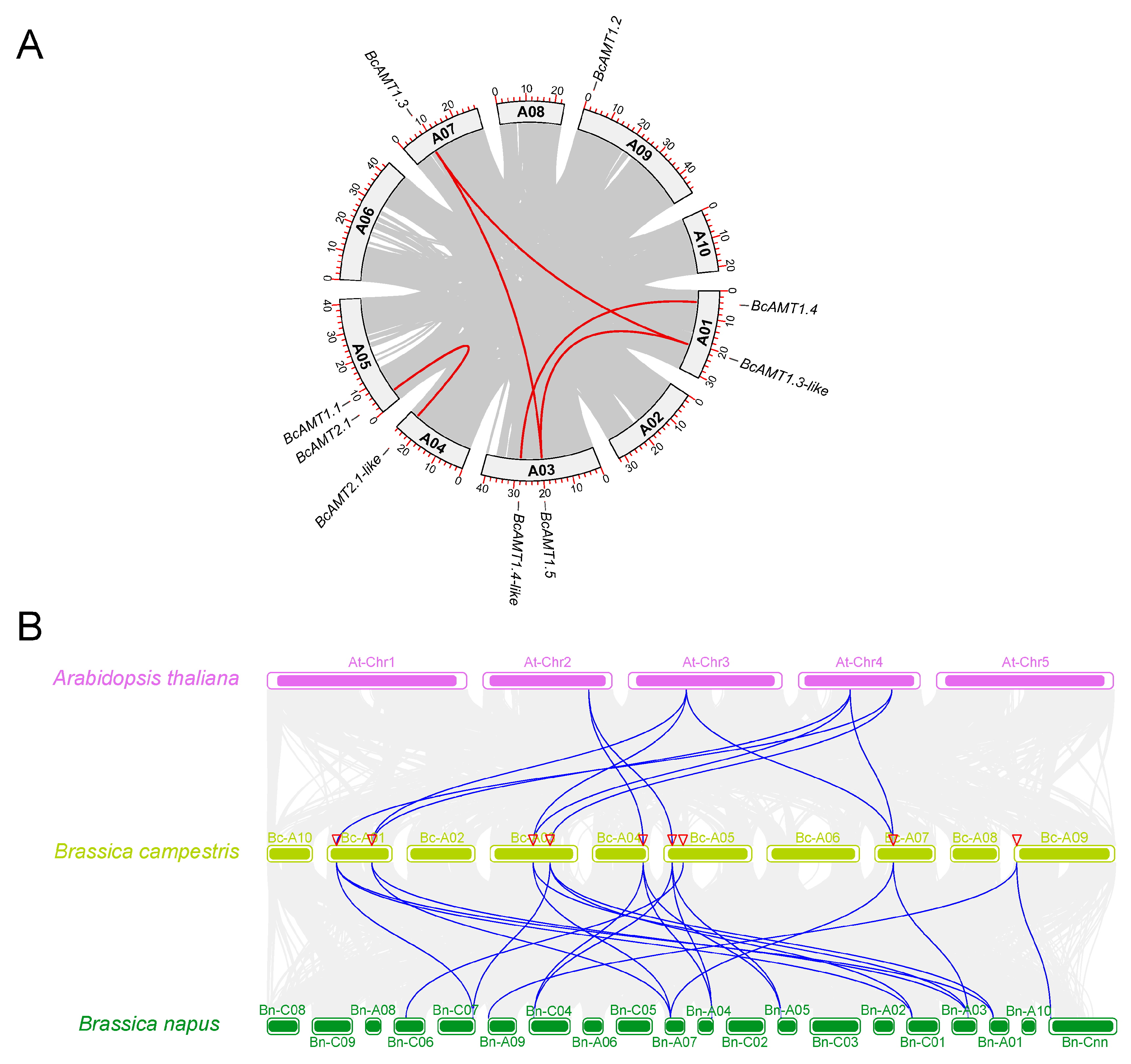 Preprints 184987 g004